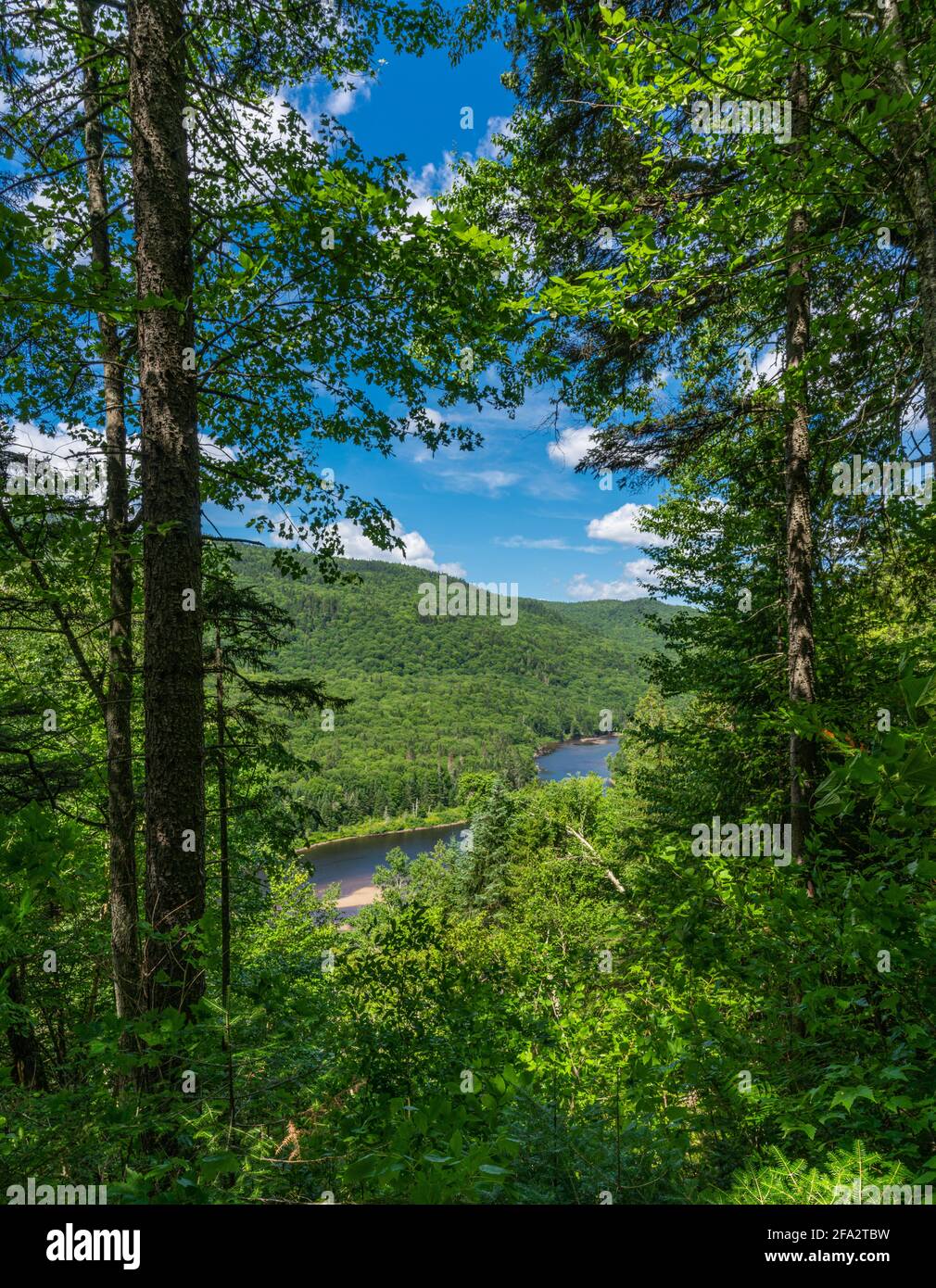 Vue magnifique depuis une colline verdoyante dans le parc national Jacques-Cartier, province de Québec, Canada. Tout est vert et plein d'esprit pendant l'été Banque D'Images