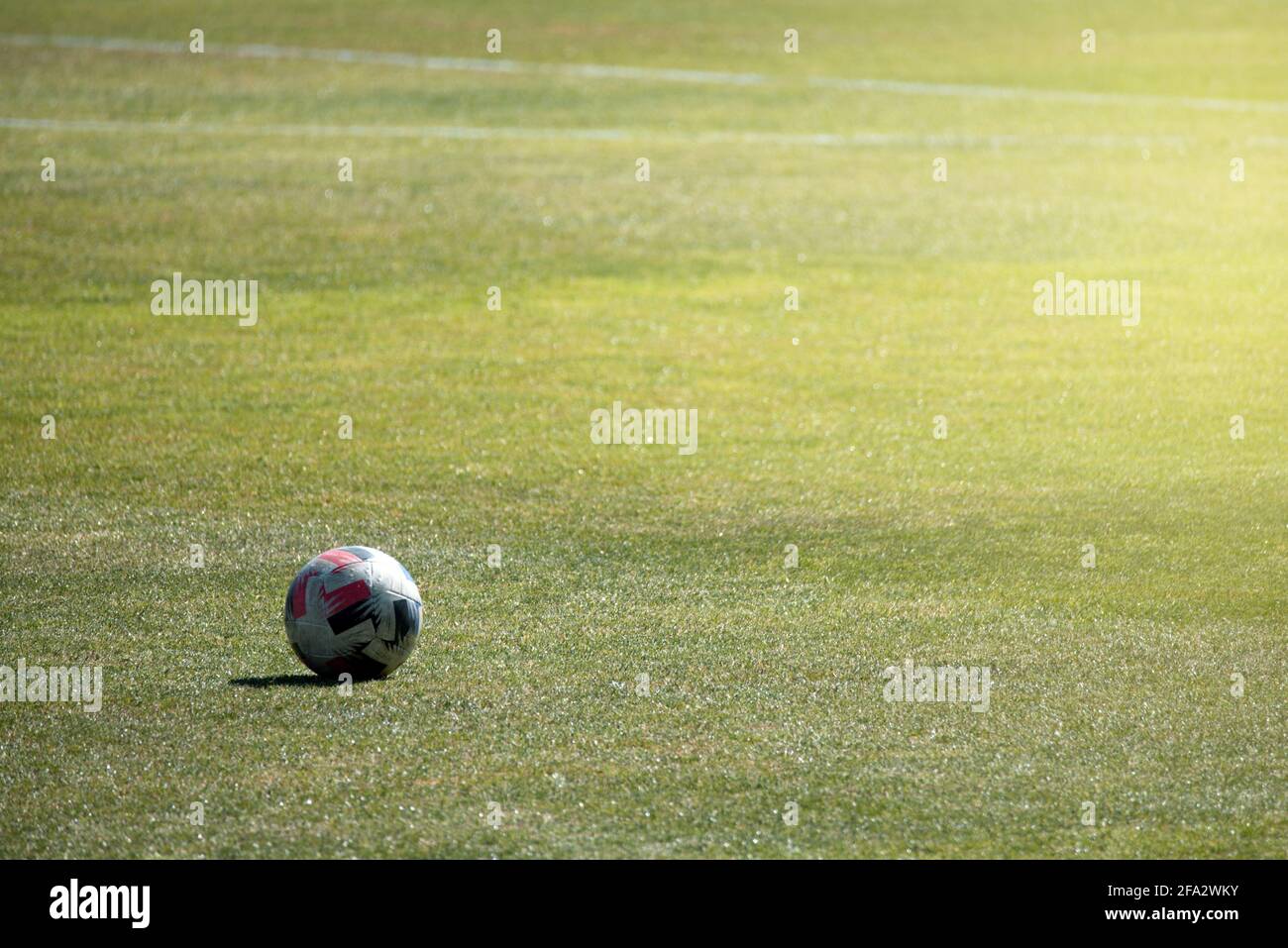 Ballon de football sur terrain de jeu en herbe naturelle Banque D'Images