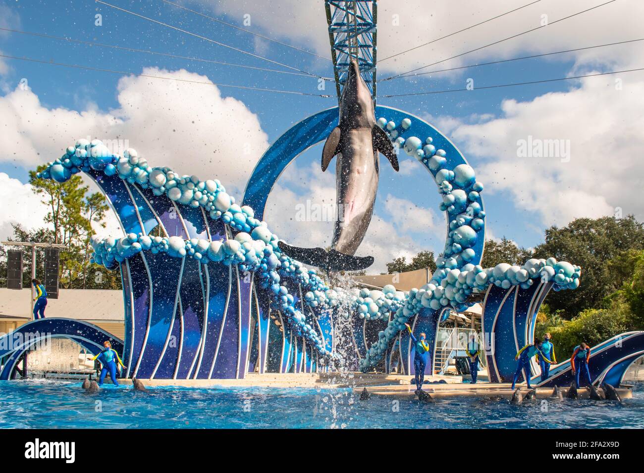 Orlando, Floride. 20 novembre 2020. Saut aux dauphins au spectacle Dolphin Days à SeaWorld (10) Banque D'Images