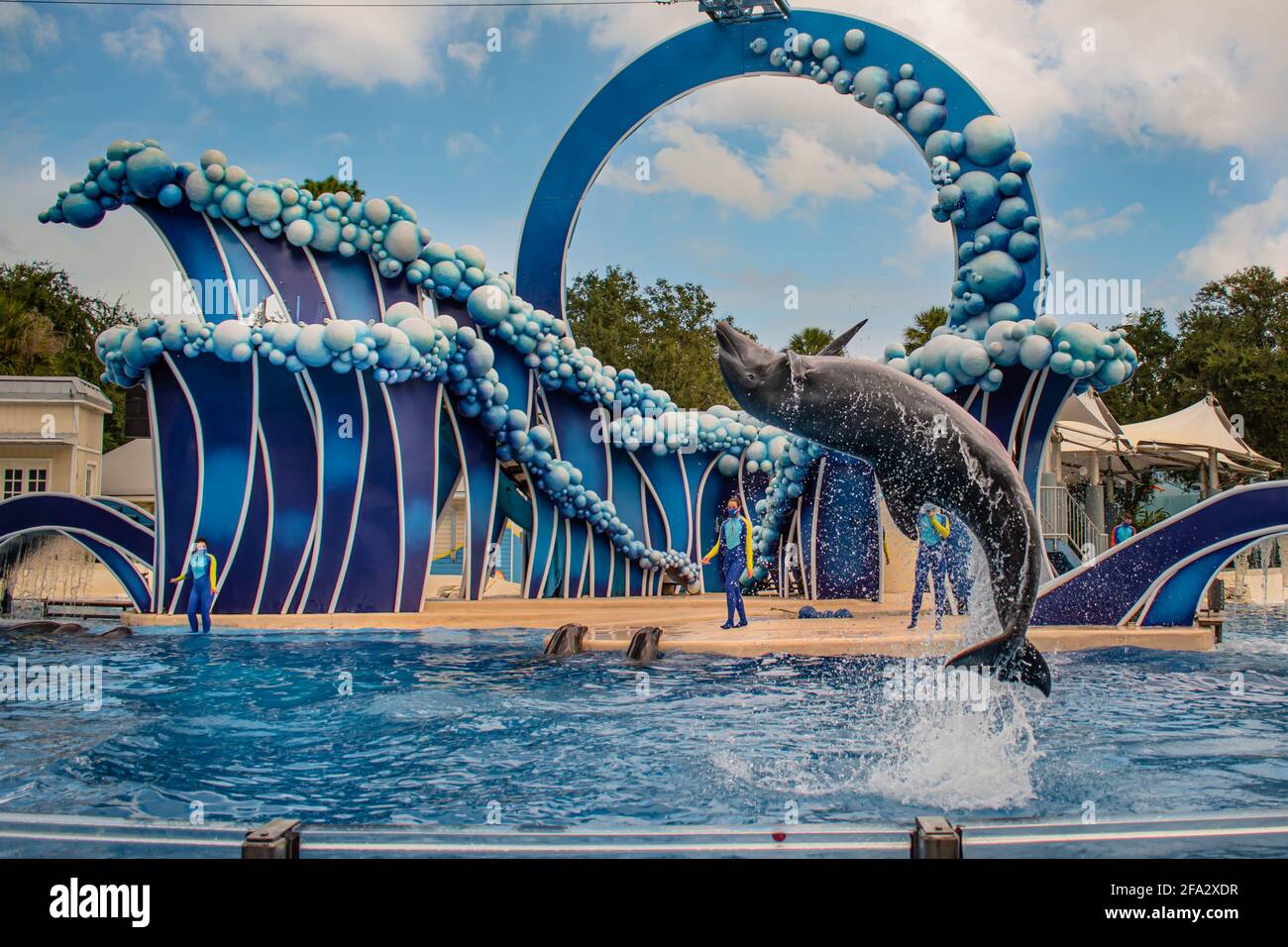 Orlando, Floride. 20 novembre 2020. Saut aux dauphins au spectacle Dolphin Days à SeaWorld (25) Banque D'Images