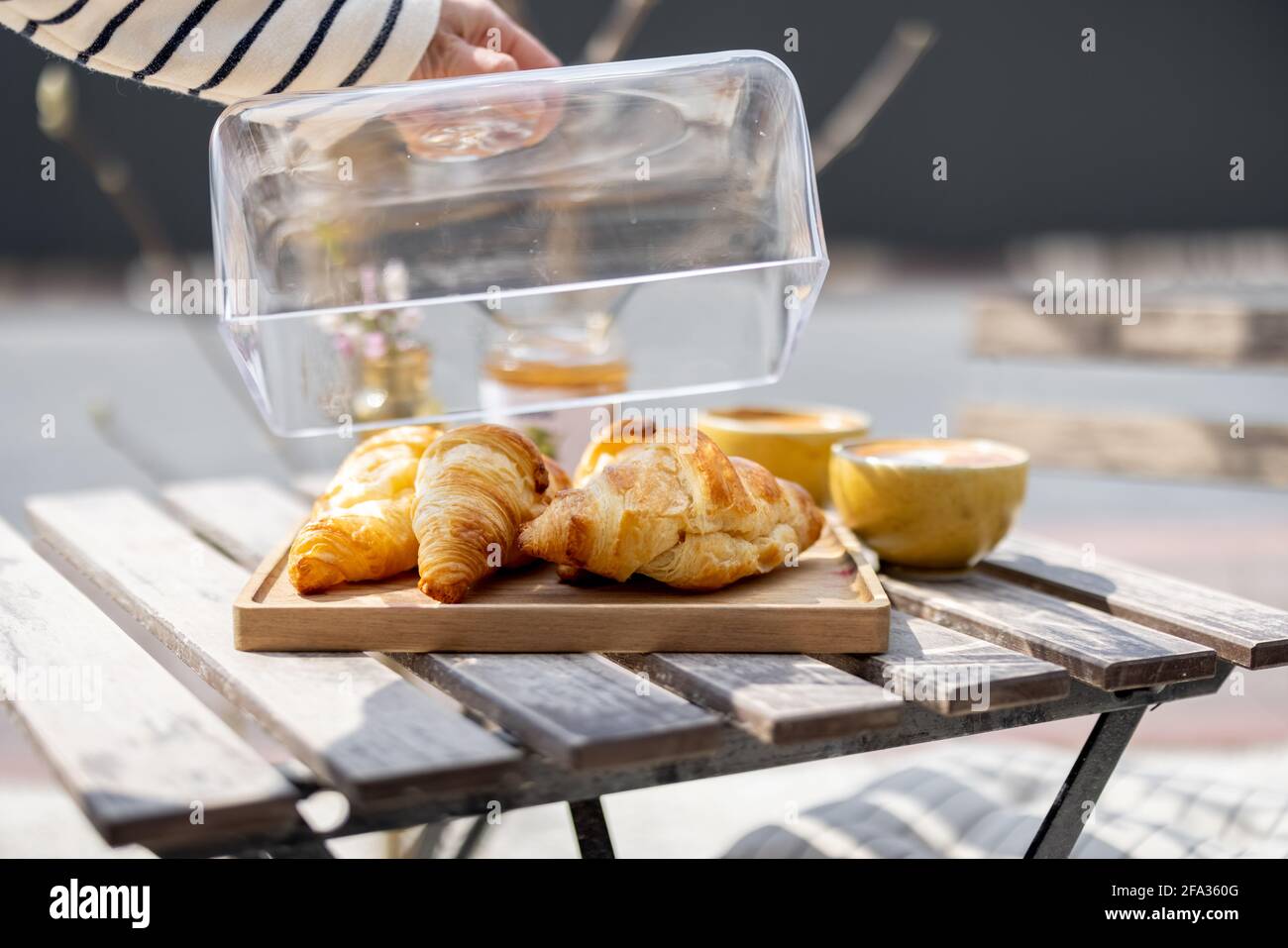 Croissants sous le cloche de verre avec des tasses de café sur la table de  jardin. Style français. Passez du temps à l'extérieur au soleil. La main de  la femme soulève un