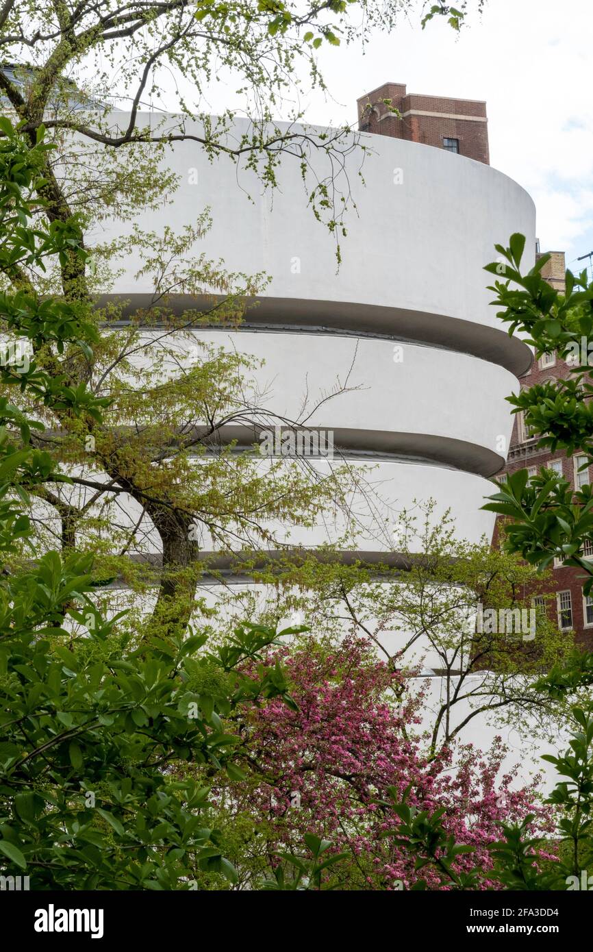 Extérieur du Musée Guggenheim au printemps vu de Central Park, NYC Banque D'Images