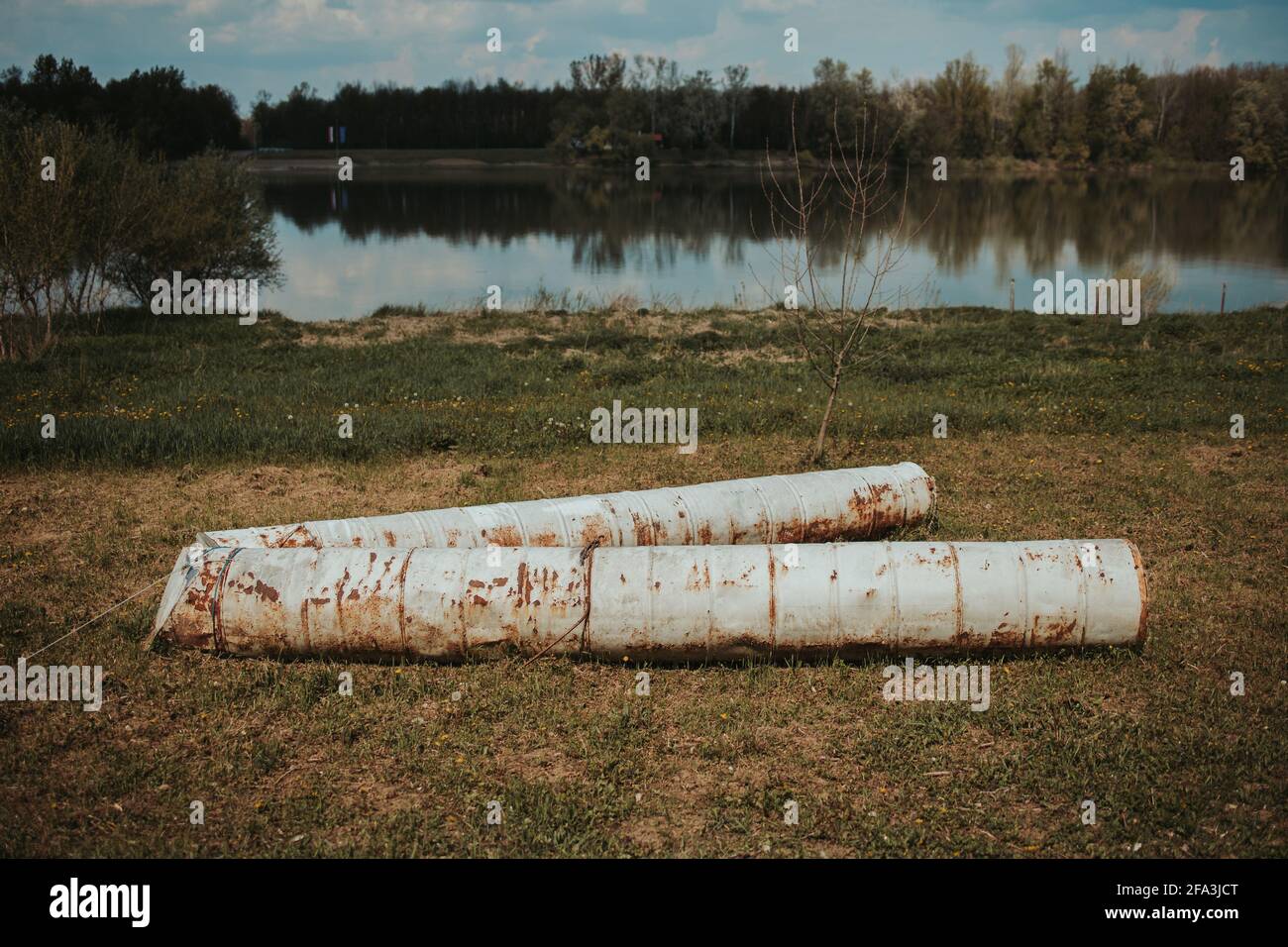 Piquer l'arbre au bord du lac pendant la journée Banque D'Images