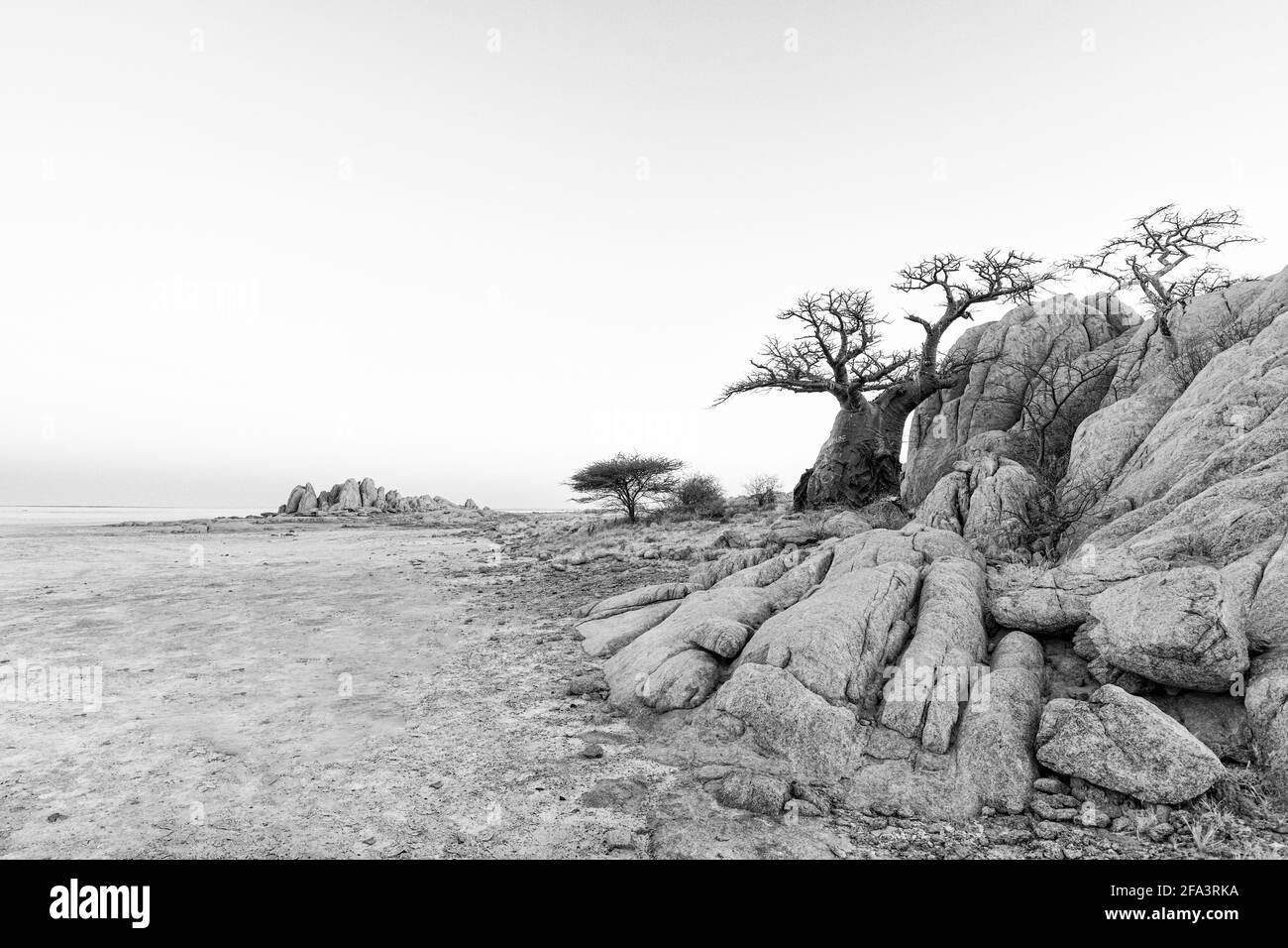 Rochers et baobab sur l'île de Kubu en noir et blanc Banque D'Images