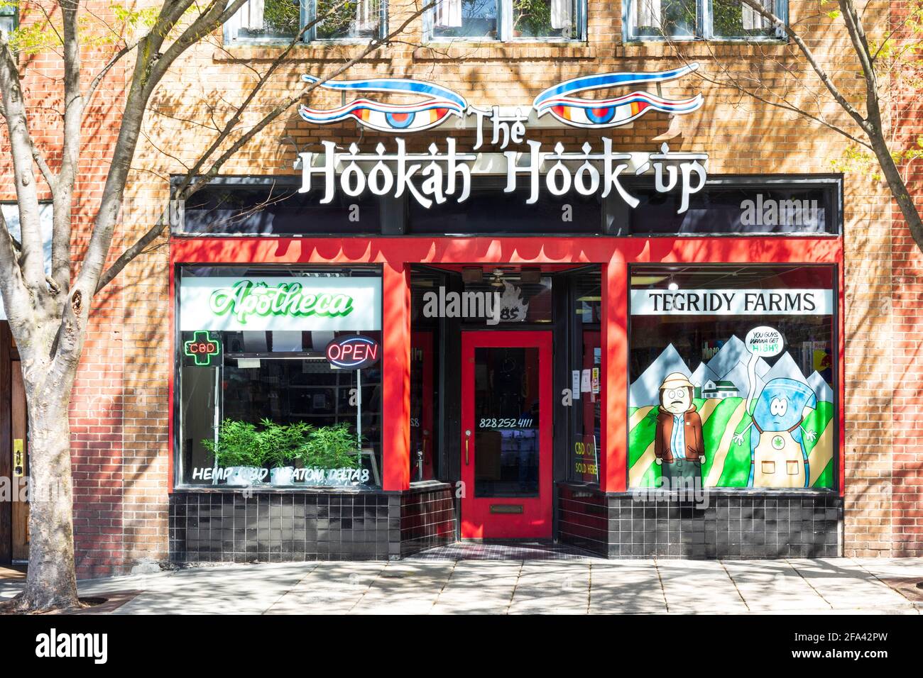 ASHEVILLE, NC, USA-11 AVRIL 2021 : devant le Hookah HookUp, un magasin dans le centre-ville. On dirait que de la marijuana grandit dans la fenêtre avant. Banque D'Images