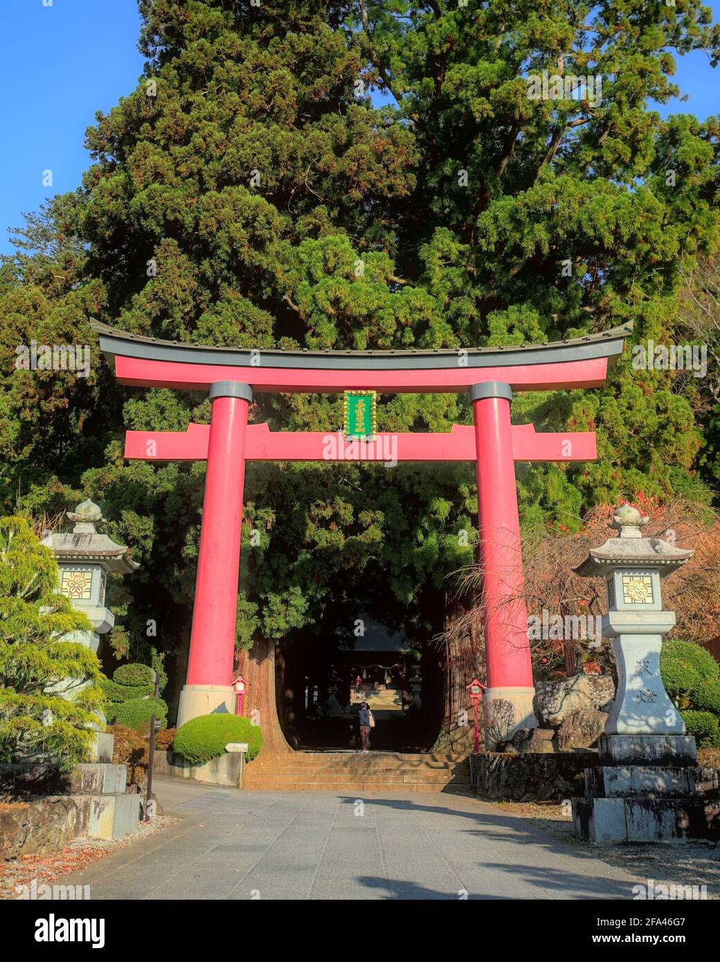 Yamanashi, Japon - novembre 17 2020 : vue de jour de la passerelle et de la grande porte rouge du torii devant le sanctuaire d'Asama Banque D'Images