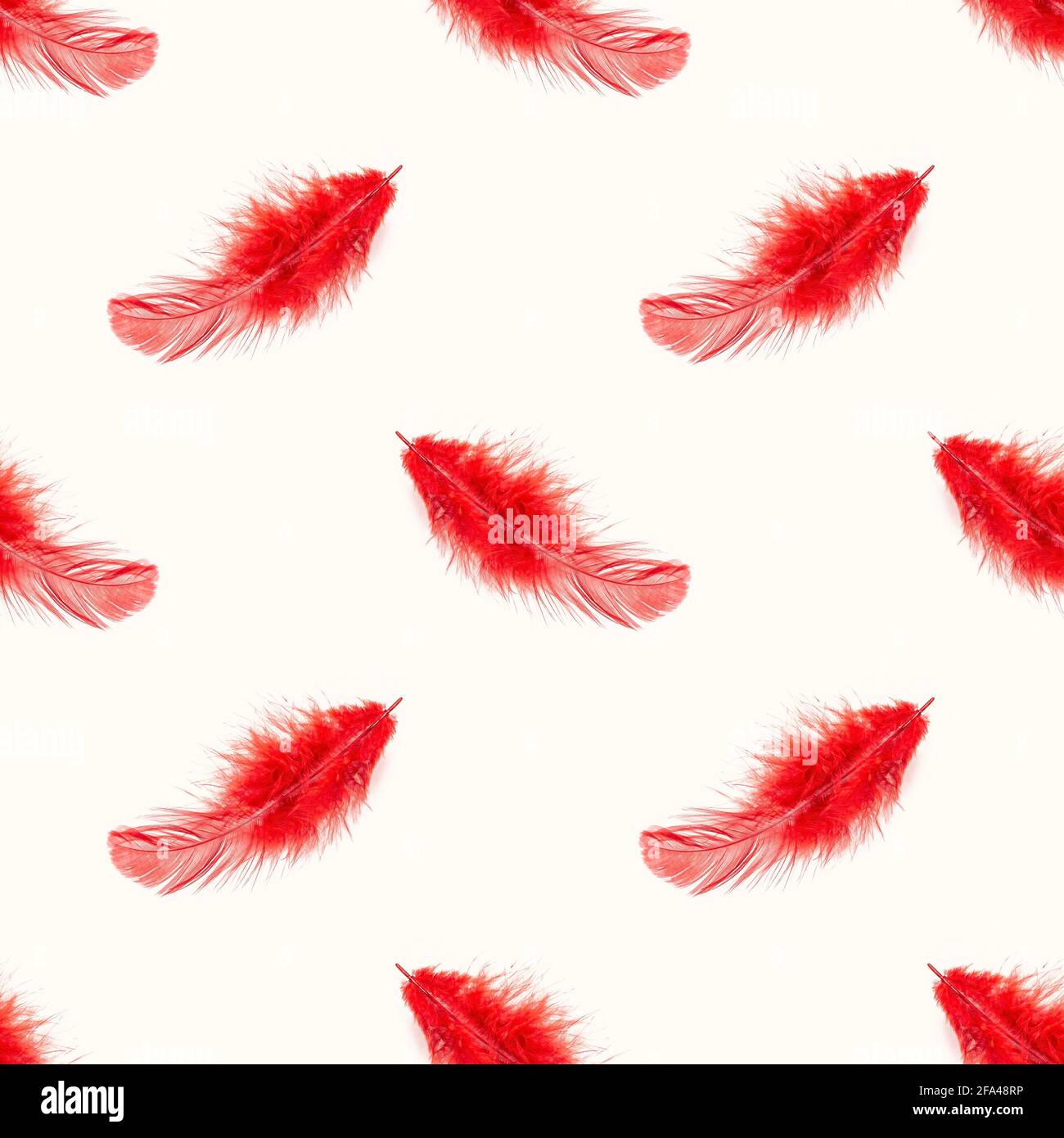 Plumes d'oiseau rouge répéter le motif sans couture sur fond clair. Banque D'Images