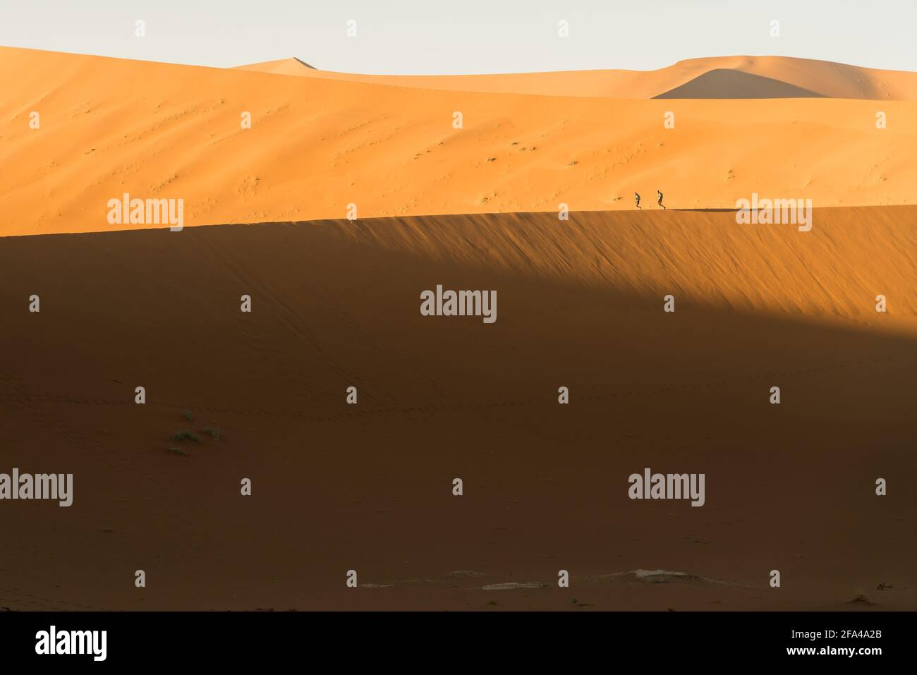Traversant Namib Sand Dunes Banque D'Images