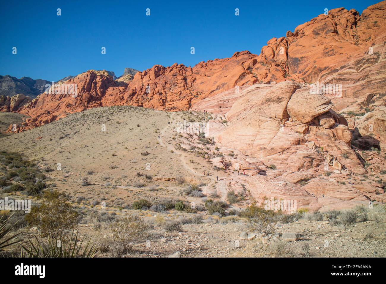 Red Rocks Calico dans le Red Rock Canyon National Conservation Area, Nevada Banque D'Images