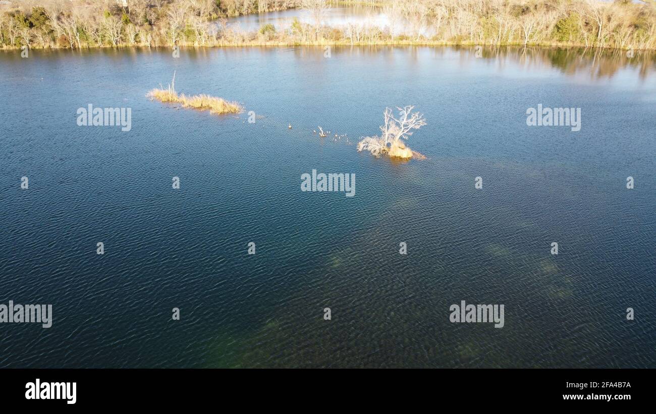 Étang avec île de corail et arbre blanc photo aérienne prise par drone en 4k près de houston, texas aux États-Unis Banque D'Images