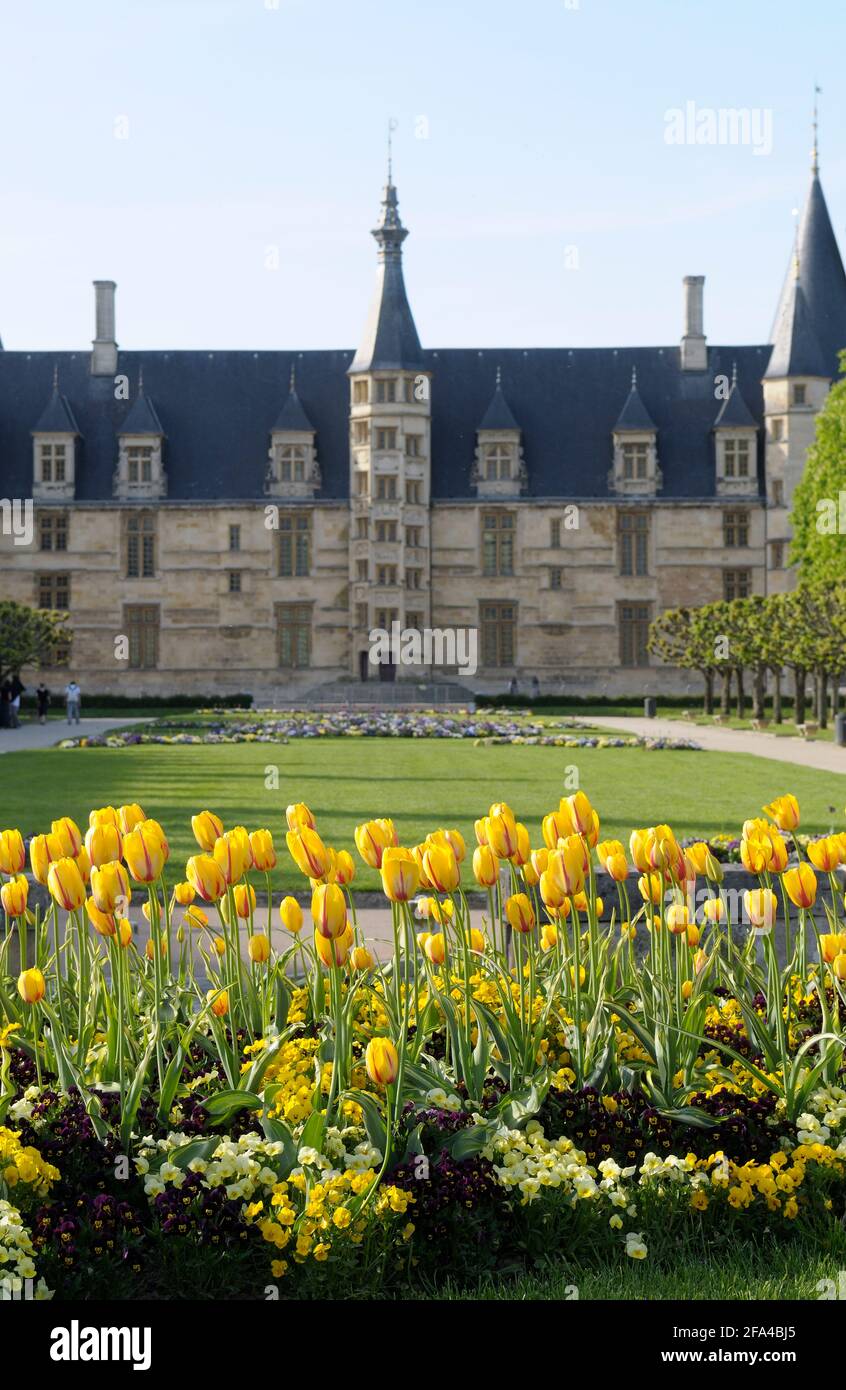 Tulipes, place de la République, Palais Ducal, Nevers, Bourgogne, France Banque D'Images