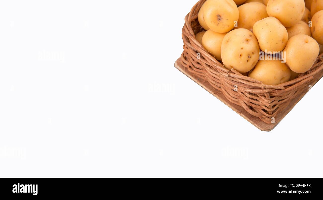 Pomme de terre créole jaune biologique - Solanum phureja Banque D'Images