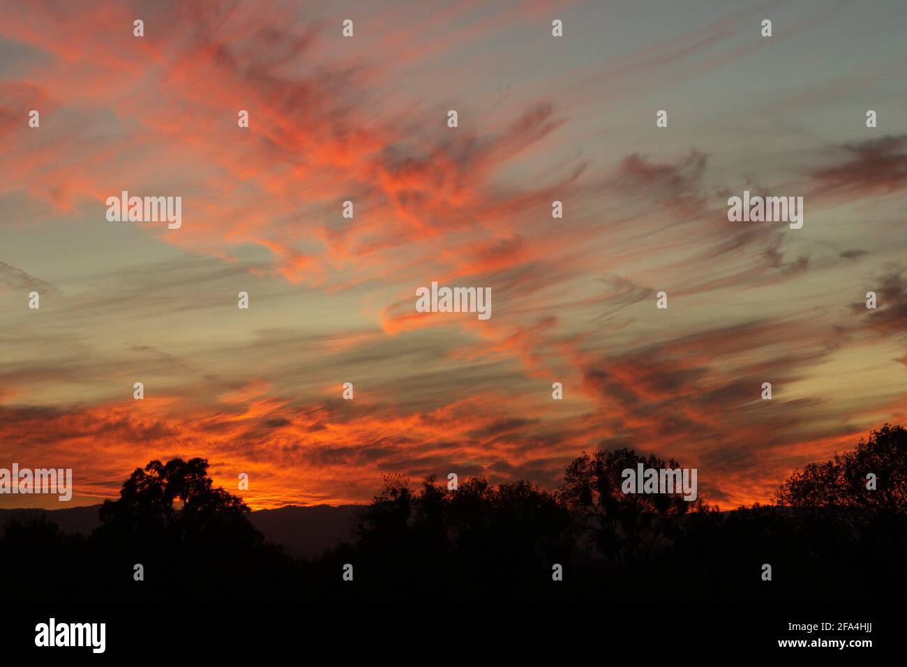 Un coucher de soleil d'hiver coloré et paisible se forme au-dessus de la vallée de la rivière San Joaquin dans le comté de Stanislaus, en Californie. Banque D'Images