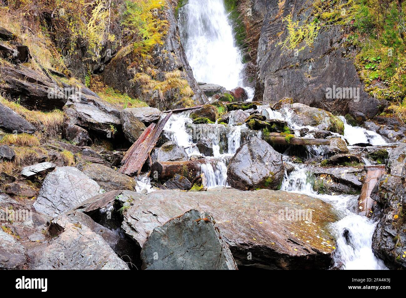 Un ruisseau orageux descendant des montagnes à travers la forêt d'automne, à travers des rochers de pierre et des troncs d'arbres à refus. Rivière Boki, Altaï, Sibérie, Banque D'Images