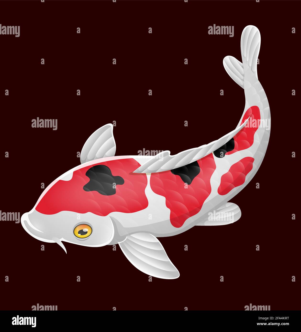 Dessin animé joli poisson koï sur fond rouge Illustration de Vecteur