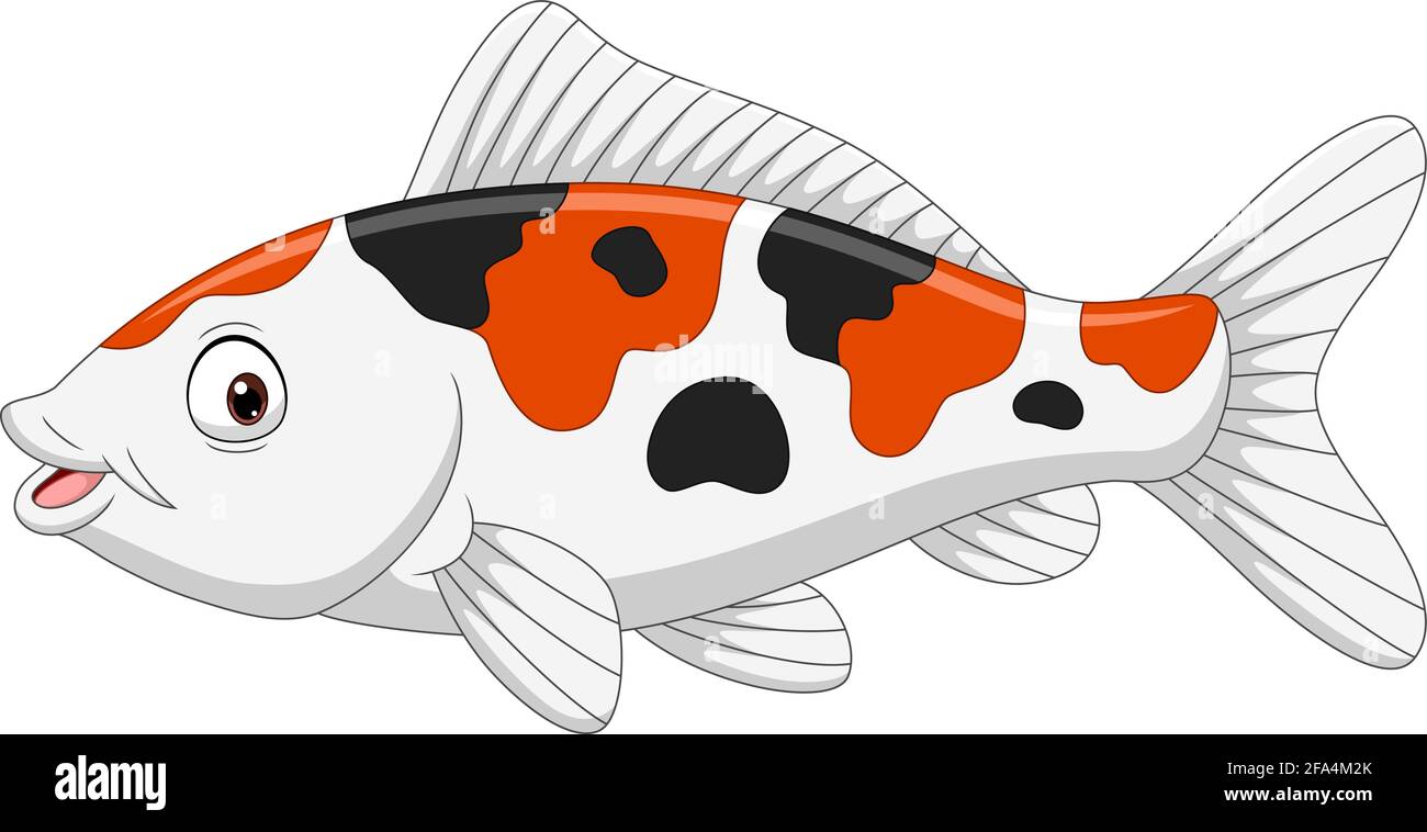 Dessin animé drôle poisson koï sur fond blanc Illustration de Vecteur