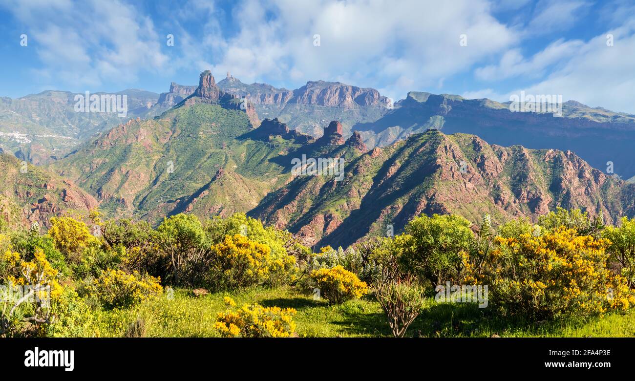 Paysage avec Roque Bentyga et Roque Nublo en arrière-plan, Grande Canarie, îles Canaries, Espagne Banque D'Images
