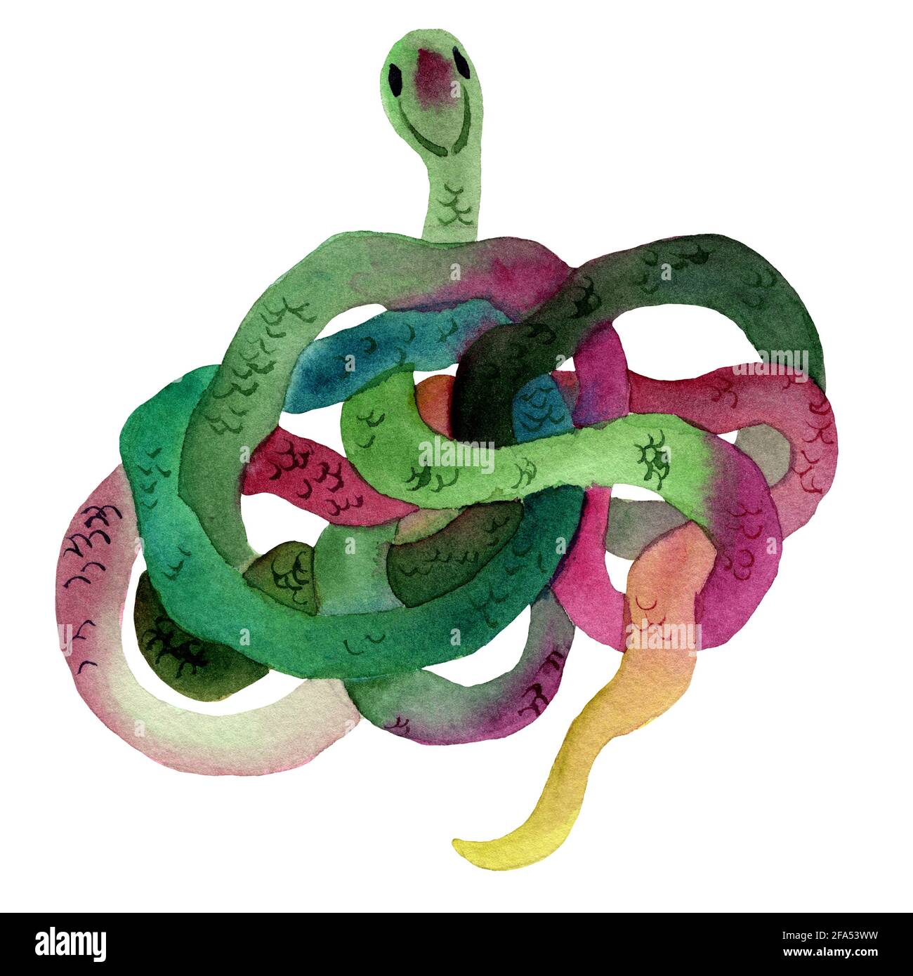 Aquarelle dessin à la main de serpents de couleur verte avec texture de peau. Le serpent est en forme d'anneau. Animal de style dessin animé. Banque D'Images