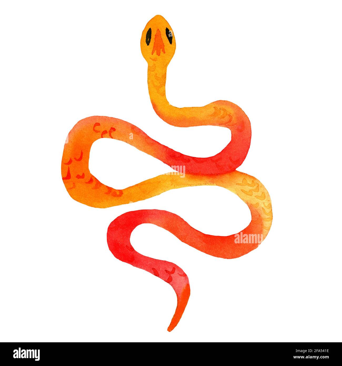 Aquarelle dessin à la main de serpents de couleur orange avec texture de peau. Le serpent est en forme d'anneau. Animal de style dessin animé. Banque D'Images