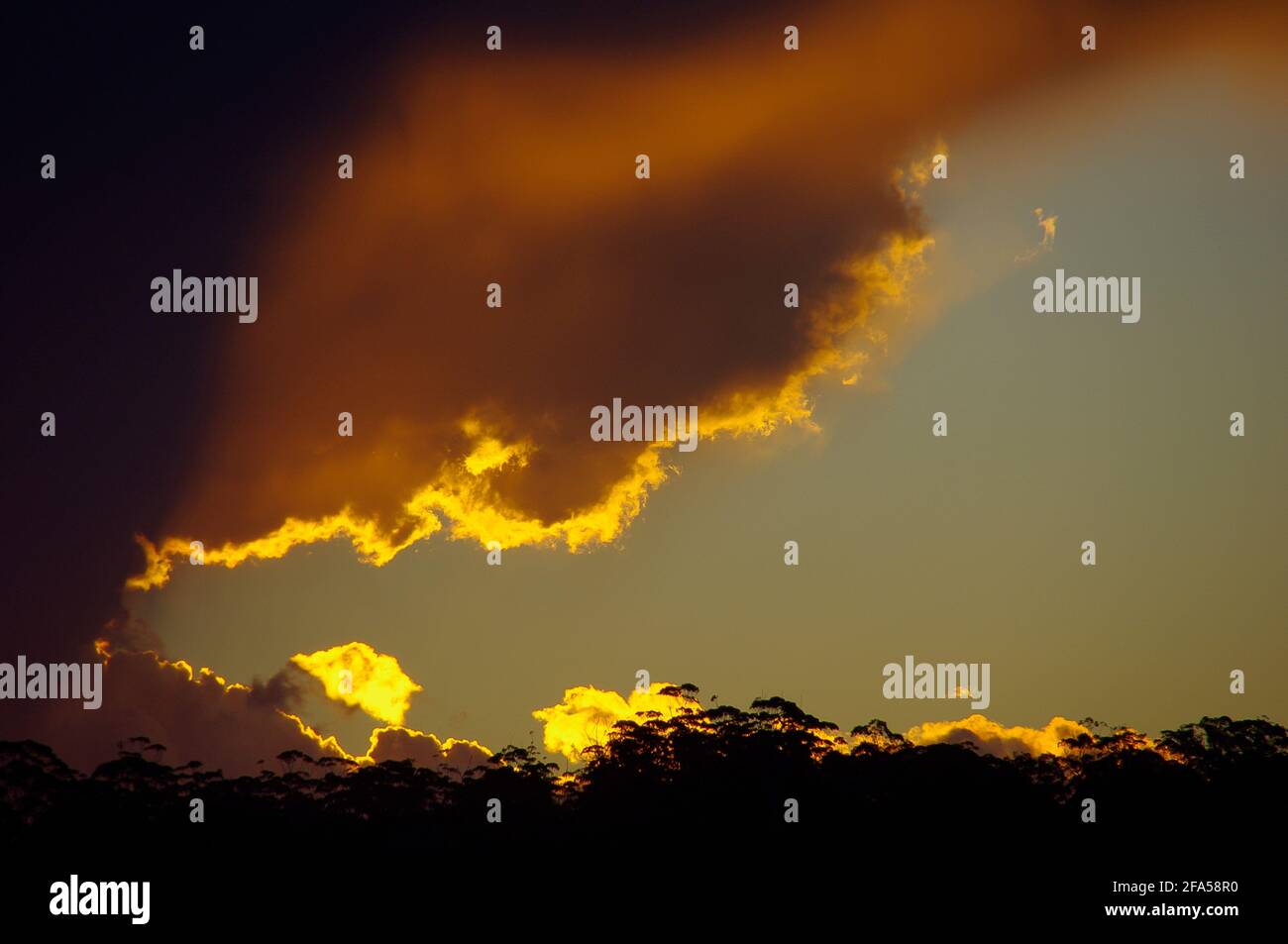 Coucher de soleil d'hiver avec des blocs de nuages gris et dorés sur un horizon sombre. Queensland, Australie. Espace de copie, arrière-plan. Banque D'Images