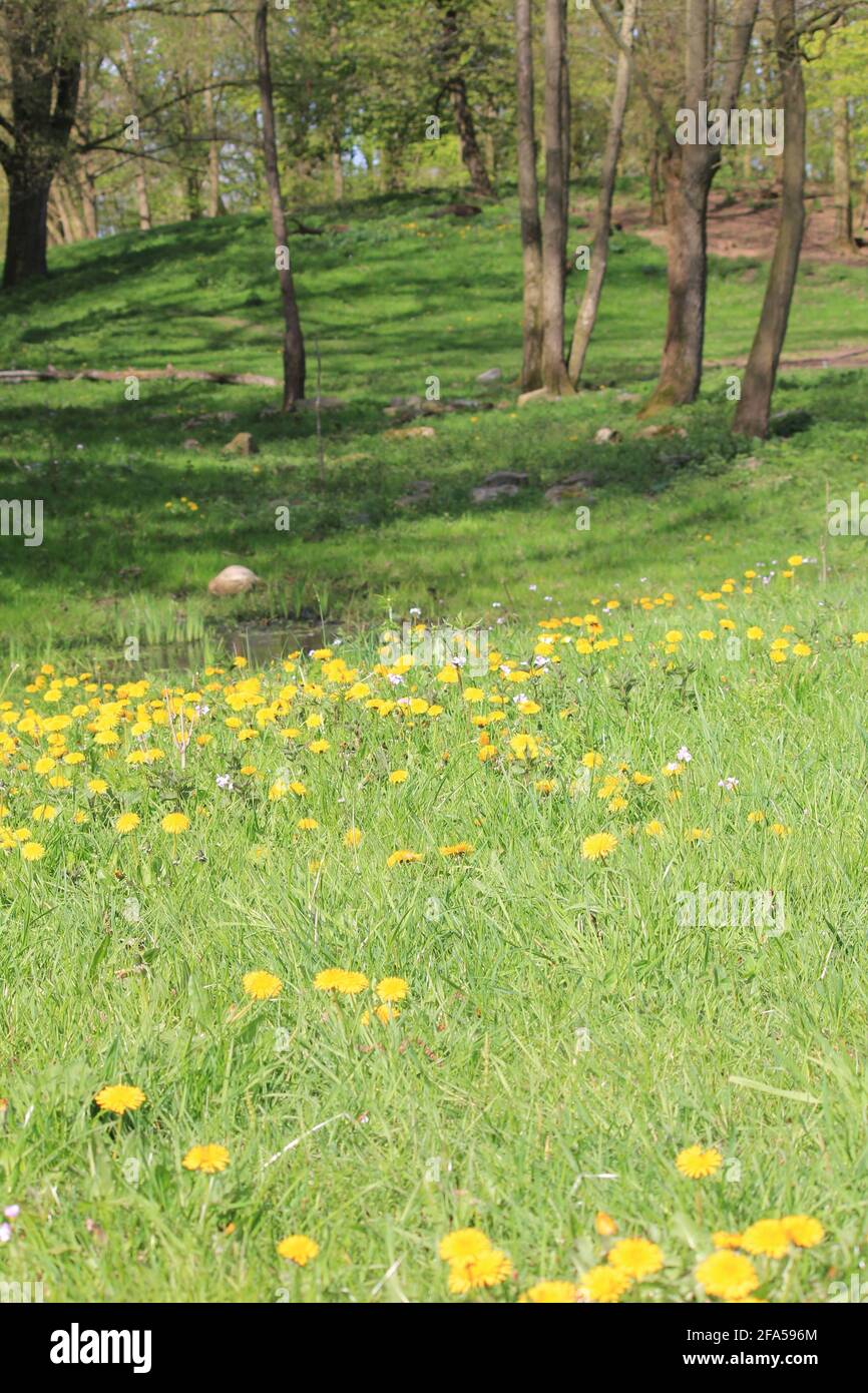 Citypark Scaddijk à Nimègue, pays-Bas Banque D'Images