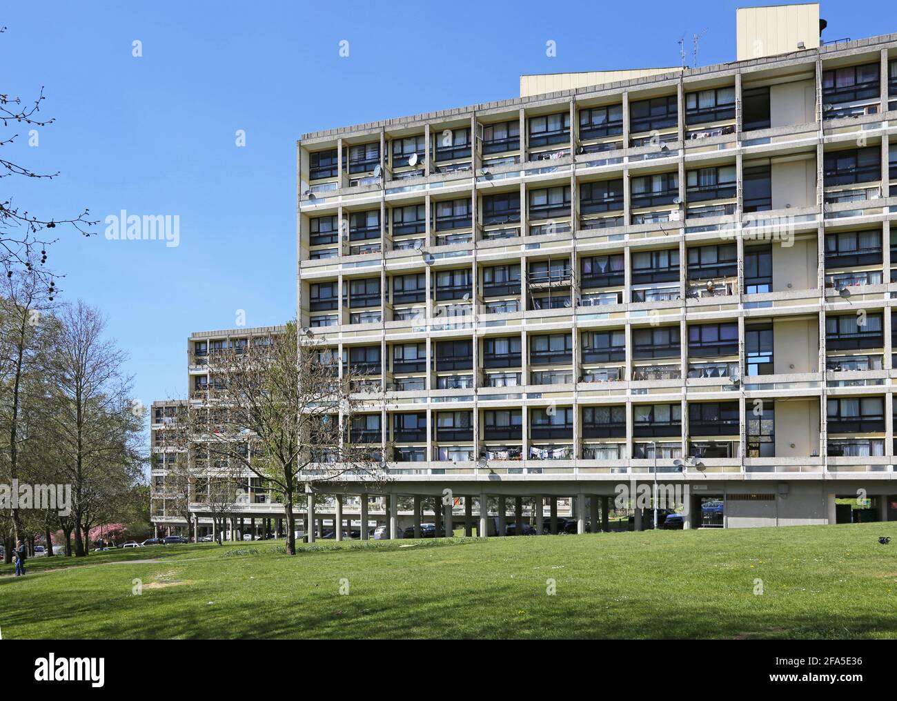 Domaine d'Alton East à Roehampton, Londres, Royaume-Uni. Célèbre projet de logement moderniste des années 1950 inspiré par l'unité d'habitation du Corbsier Banque D'Images