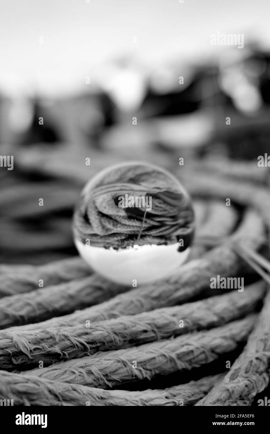 Le monde marin vu à travers les yeux du Lensball Banque D'Images