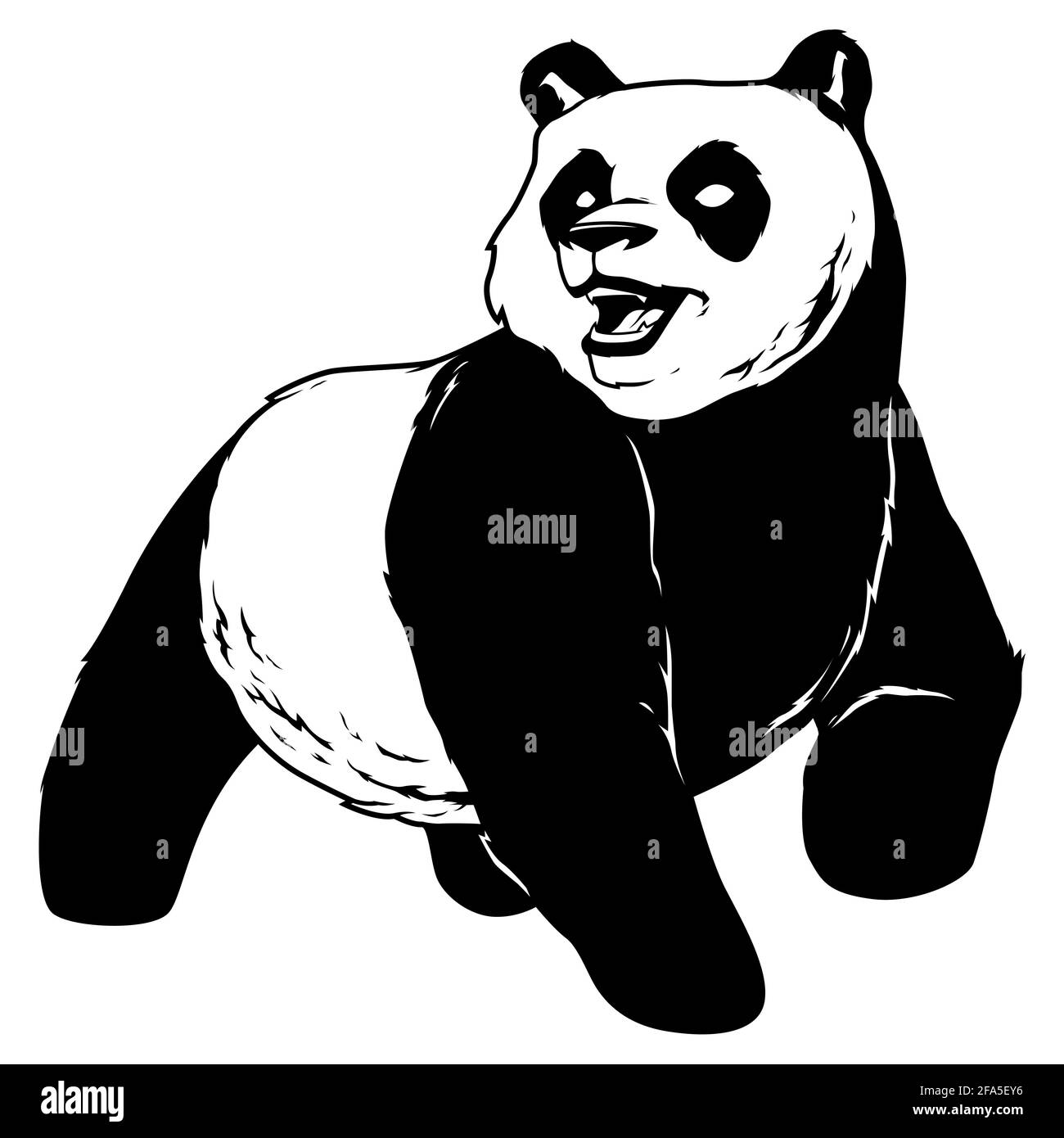 Panda sur blanc Illustration de Vecteur