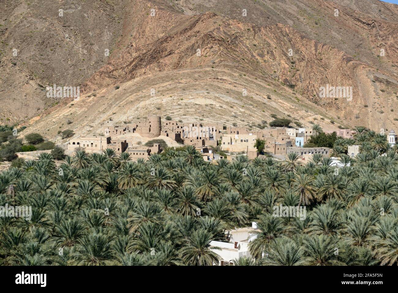 Vallée du nouveau et ancien village Birkat Al Mawz avec sa palmeraie dans la région d'ad Dahiliyah. Oman. Banque D'Images