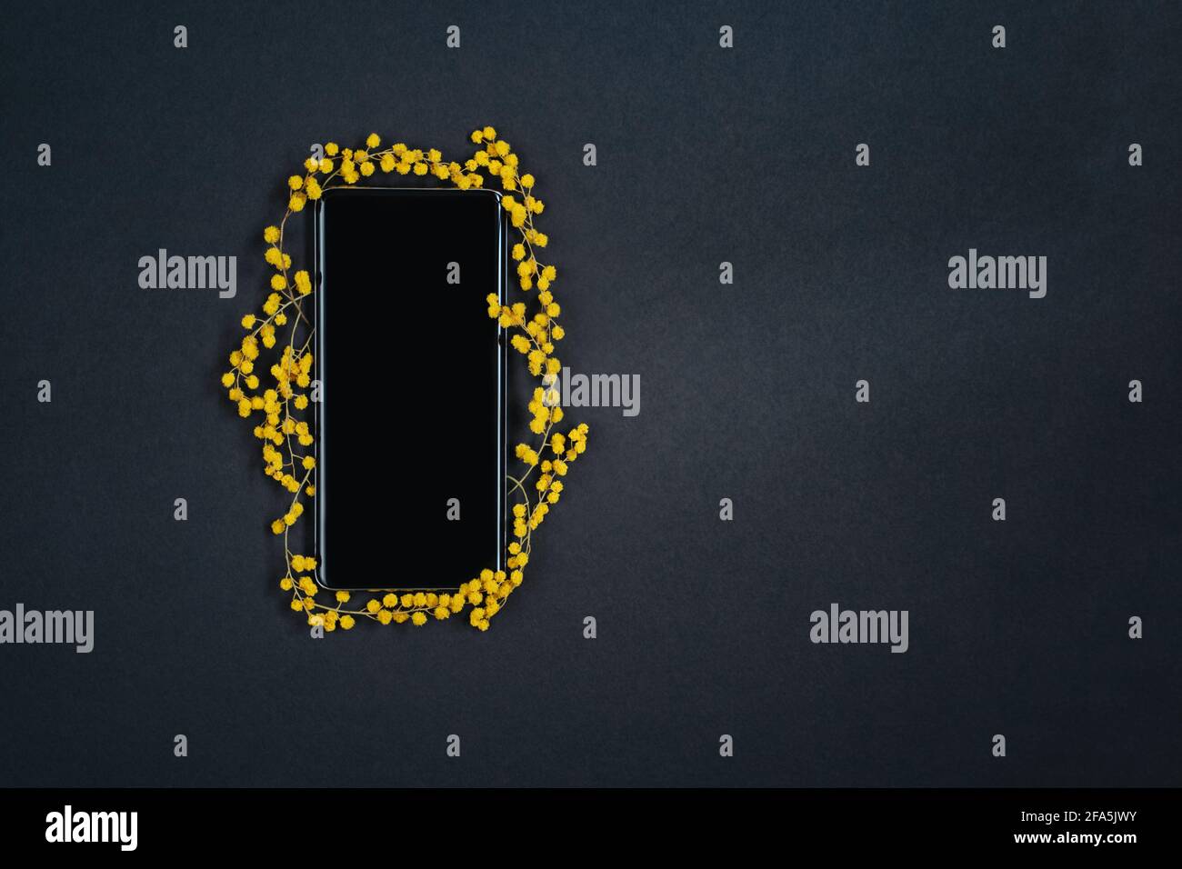 Téléphone vierge avec cadre mimosa jaune sur fond noir texturé. Pose à plat Banque D'Images