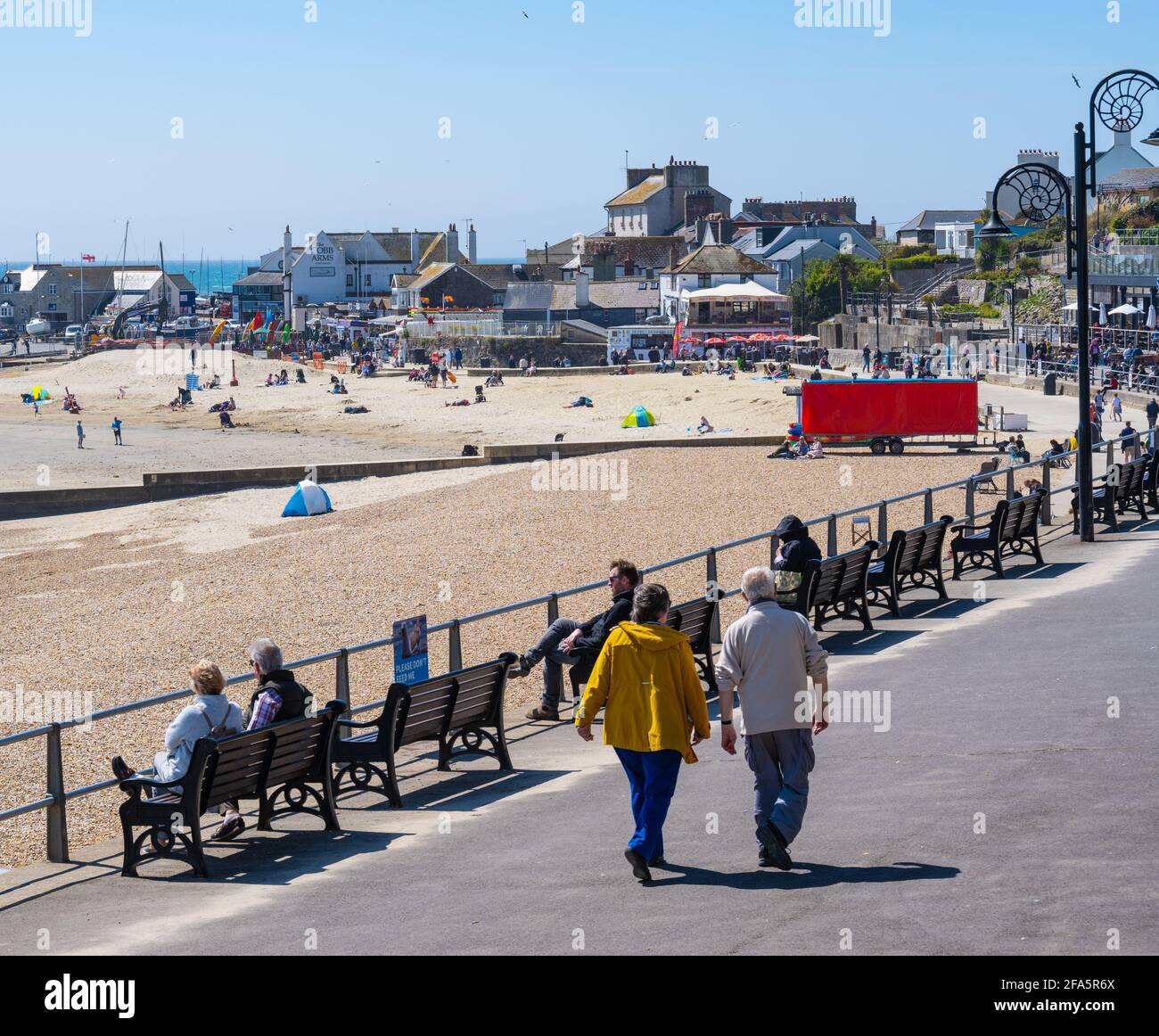 Lyme Regis, Dorset, Royaume-Uni. 23 avril 2021. Météo Royaume-Uni. Les visiteurs et les habitants de la région apprécient le soleil glorieux et le ciel bleu clair à la station balnéaire pittoresque de Lyme Regis. C'était un peu froid à cause de la brise vive de l'est, mais il y avait beaucoup de temps ensoleillé prévu pour le week-end et la semaine prochaine avec des températures qui devraient monter au-dessus des vacances de mai de la rive du printemps. Credit: Celia McMahon/Alamy Live News Banque D'Images