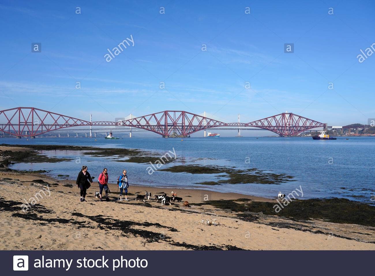 South Queensferry, Écosse, Royaume-Uni. 23 avril 2021. Clair chaud et ensoleillé à South Queensferry. Les gens qui profitent du beau temps et commencent à visiter et à profiter du plein air dans les hotspots habituels des visiteurs. Marcher les chiens sur la plage. Crédit : Craig Brown/Alay Live News Banque D'Images