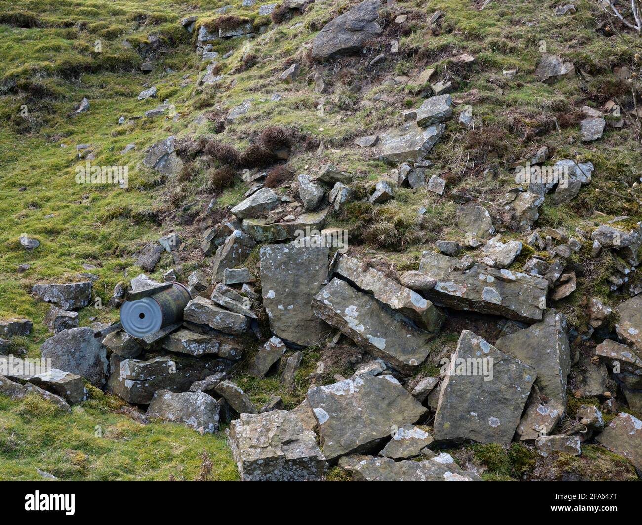 Une chute de pierres de carrière abandonnées avec un abandonné sauvage mangeoire à oiseaux Banque D'Images