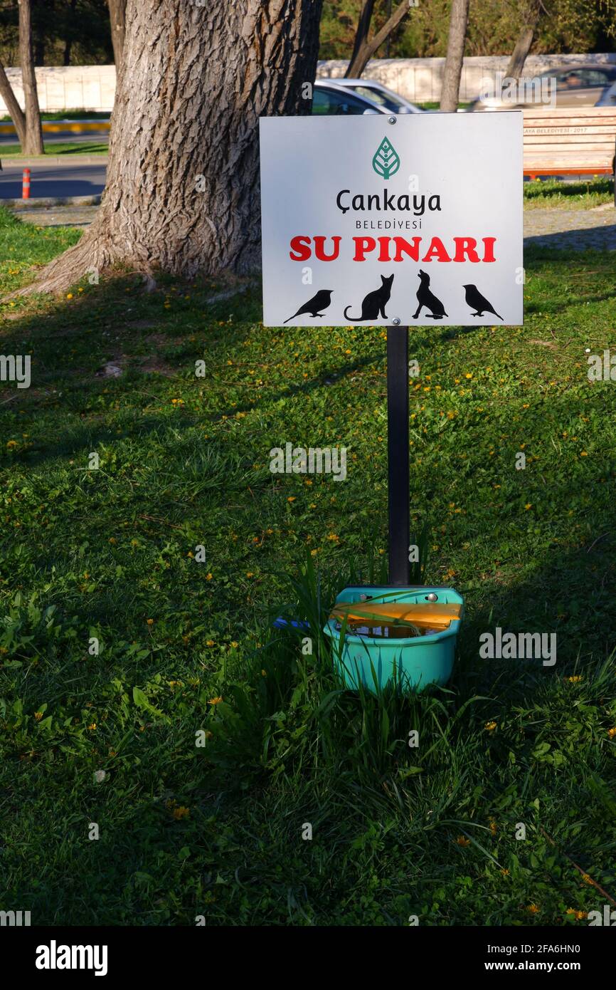 Bol d'eau public 'su Pınarı' sur l'herbe au parc pour les animaux sans abri dans la rue Banque D'Images