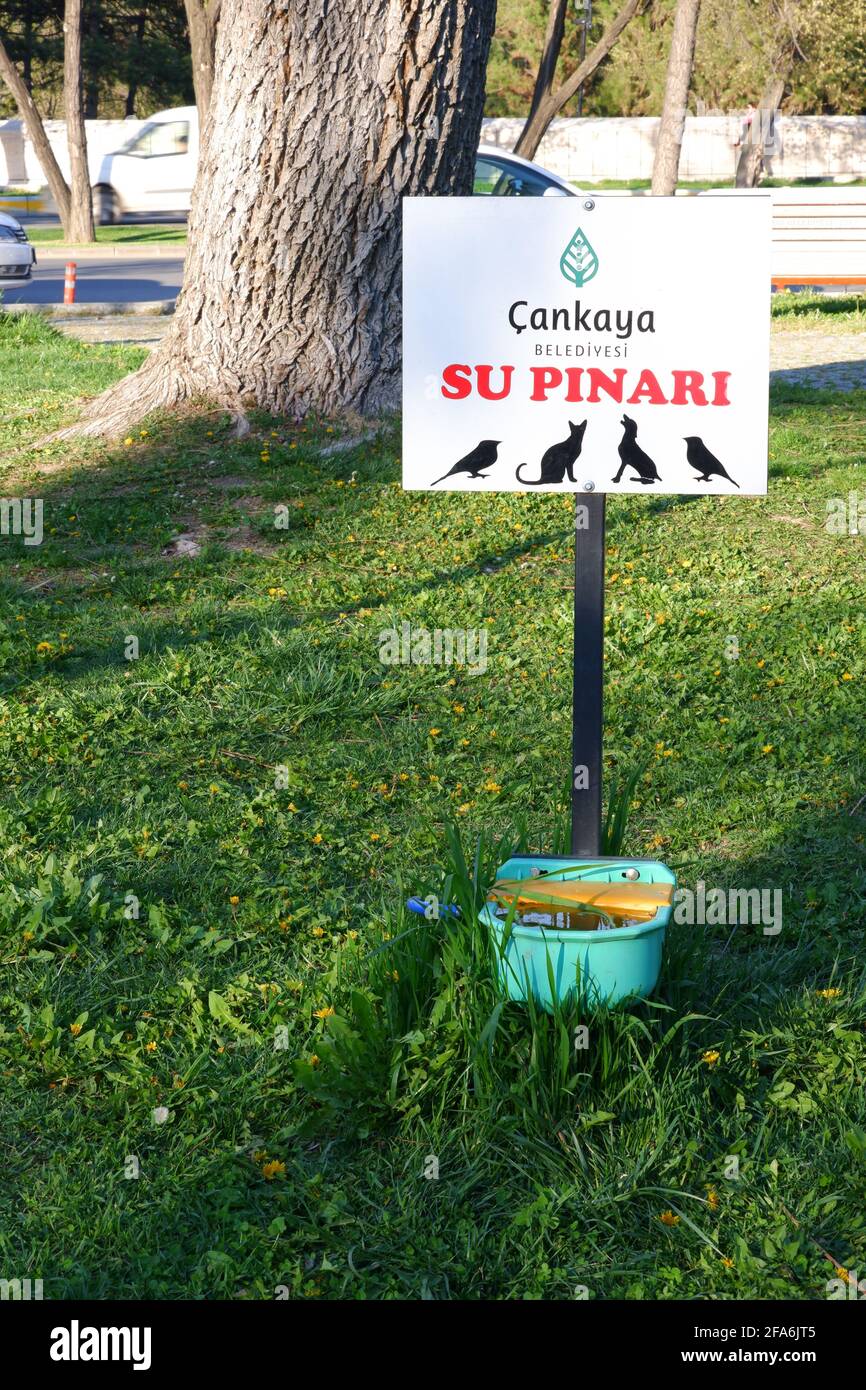 Bol d'eau public 'su Pınarı' sur l'herbe au parc pour les animaux sans abri dans la rue Banque D'Images