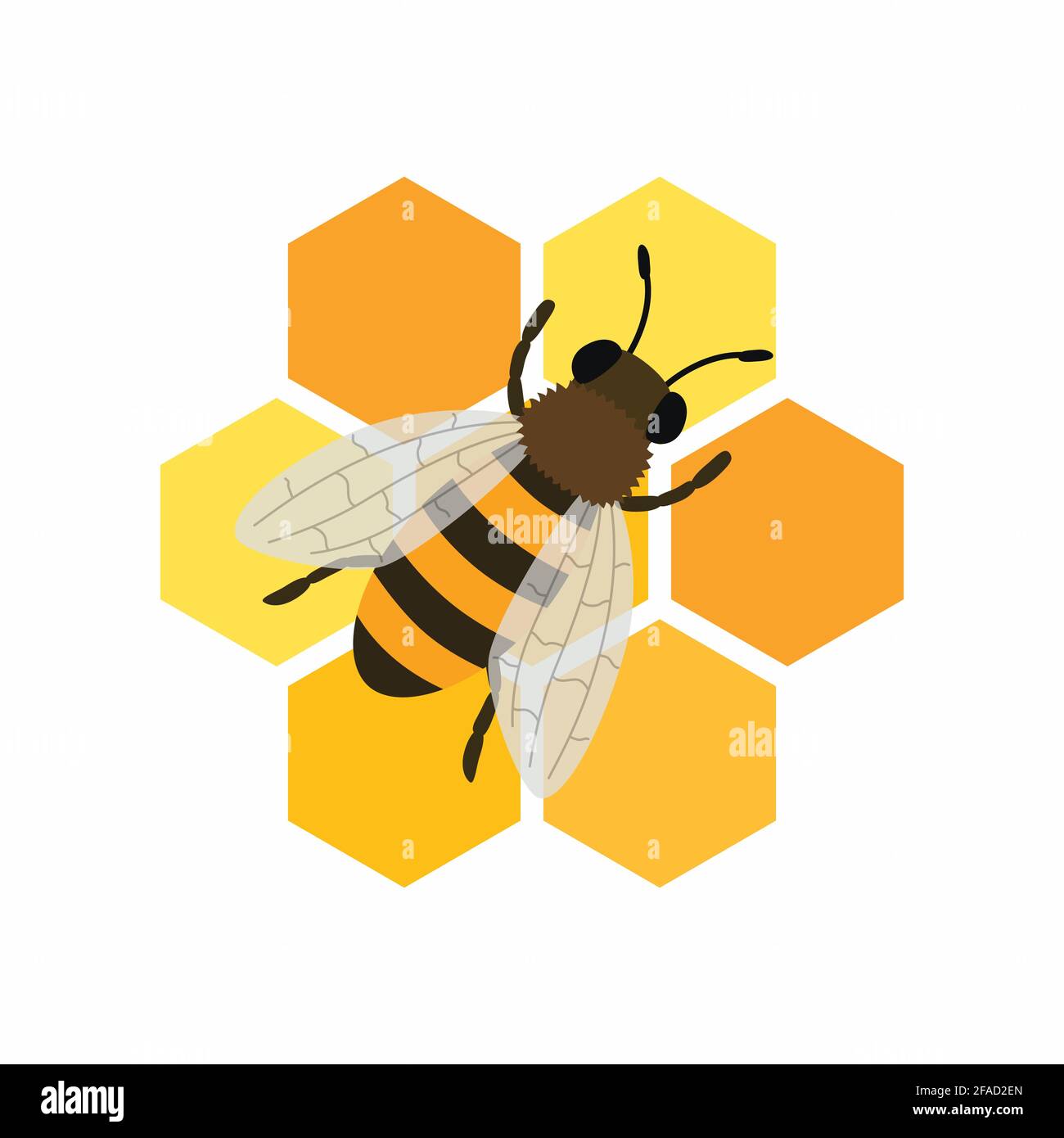 Abeilles et nids d'abeilles. Illustration vectorielle isolée sur fond blanc. Illustration de Vecteur