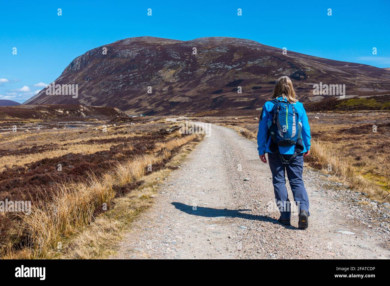 Un marcheur sur le chemin de Meall Chuaich, une montagne Munro près de Dalwhinnie, en Écosse. La colline est visible en arrière-plan Banque D'Images