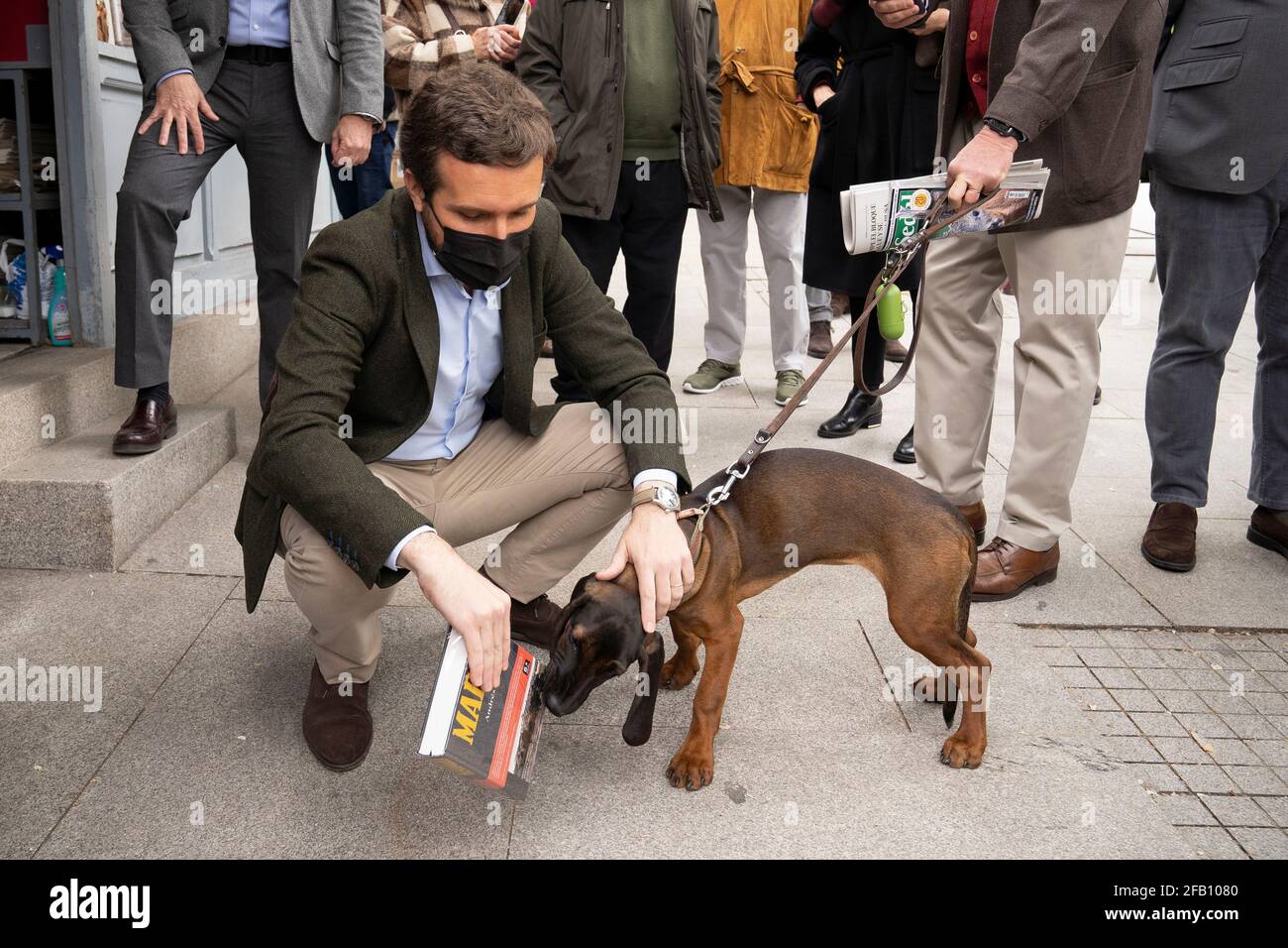 Pablo Casado Blanco, homme politique et chef du Parti du peuple embrasse un animal de compagnie lors de sa visite aux stands de livres de Cuesta de Moyano pendant la célébration de la Journée de Sant Jordi. Banque D'Images