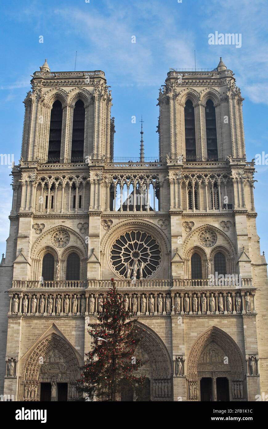 Cathédrale notre-Dame de Paris avec un arbre de Noël, France (2008) Banque D'Images