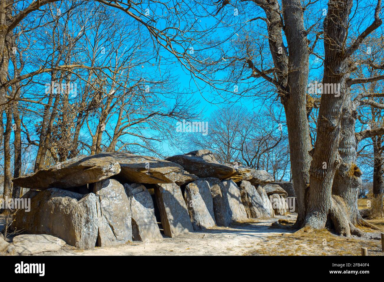 Portail de la roche aux fees en bretagne Banque D'Images