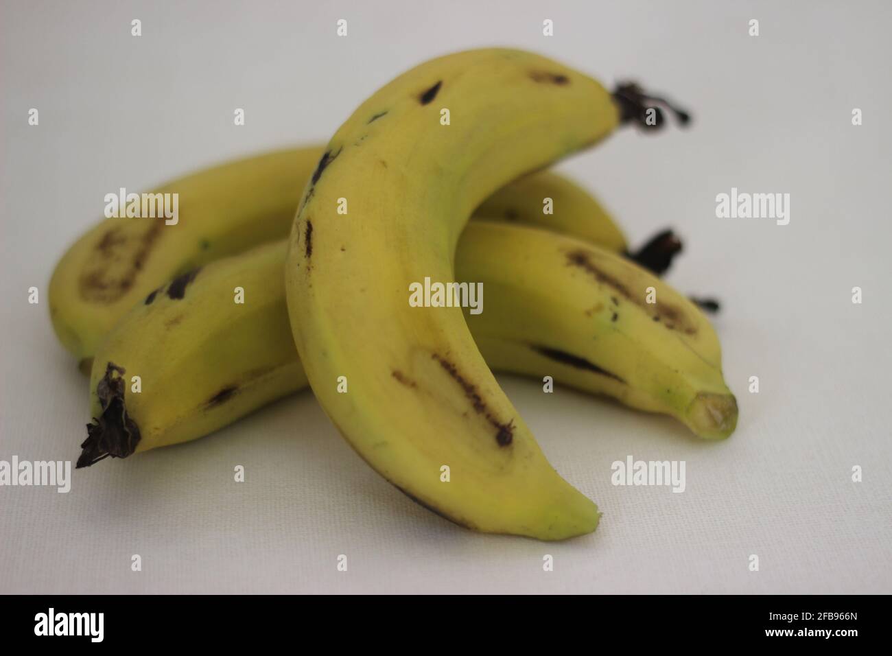Banane robusta mûre de couleur jaune clair. Prise de vue sur fond blanc. Banque D'Images