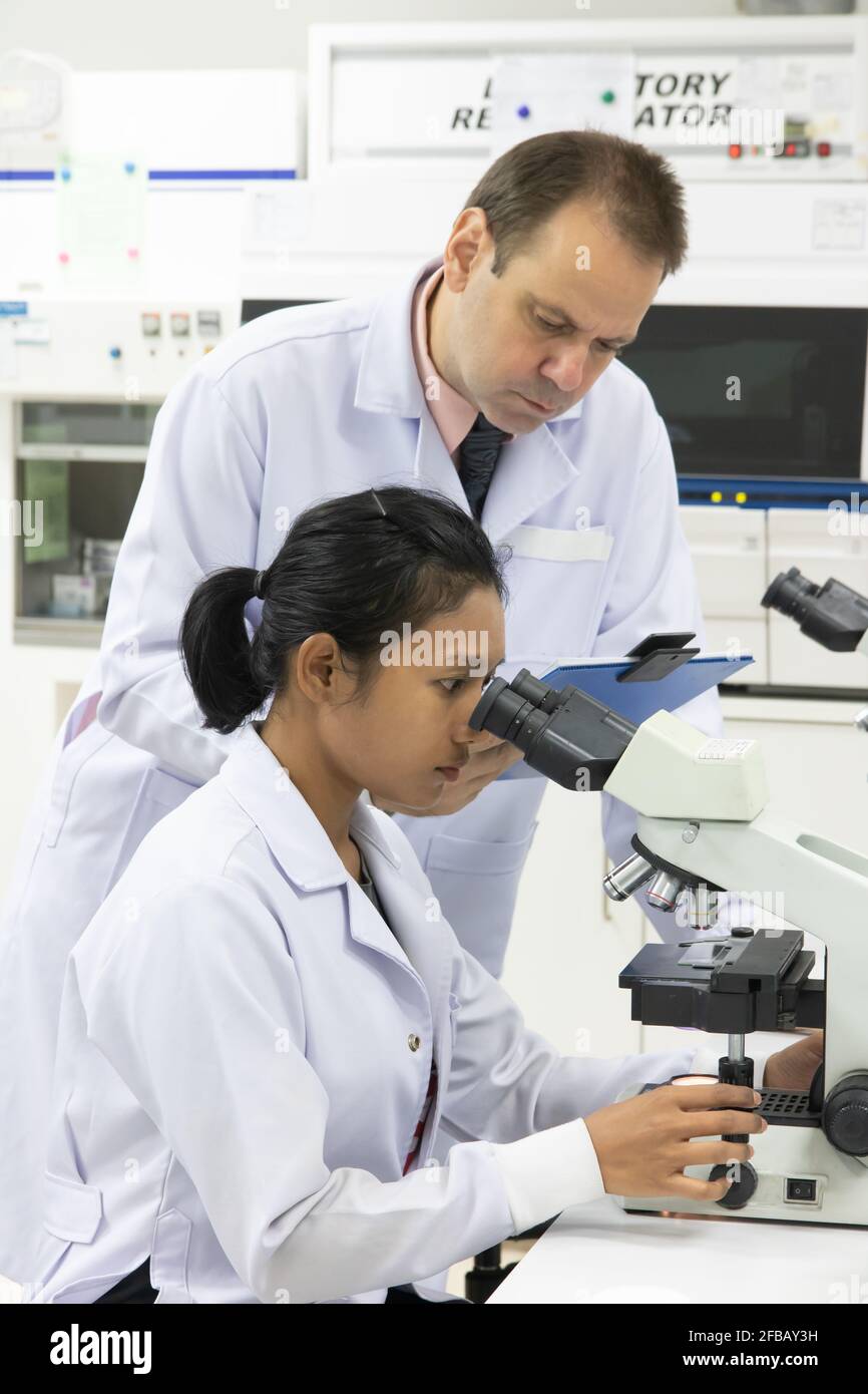 Un personnel travaillant dans un laboratoire avec un microscope Banque D'Images