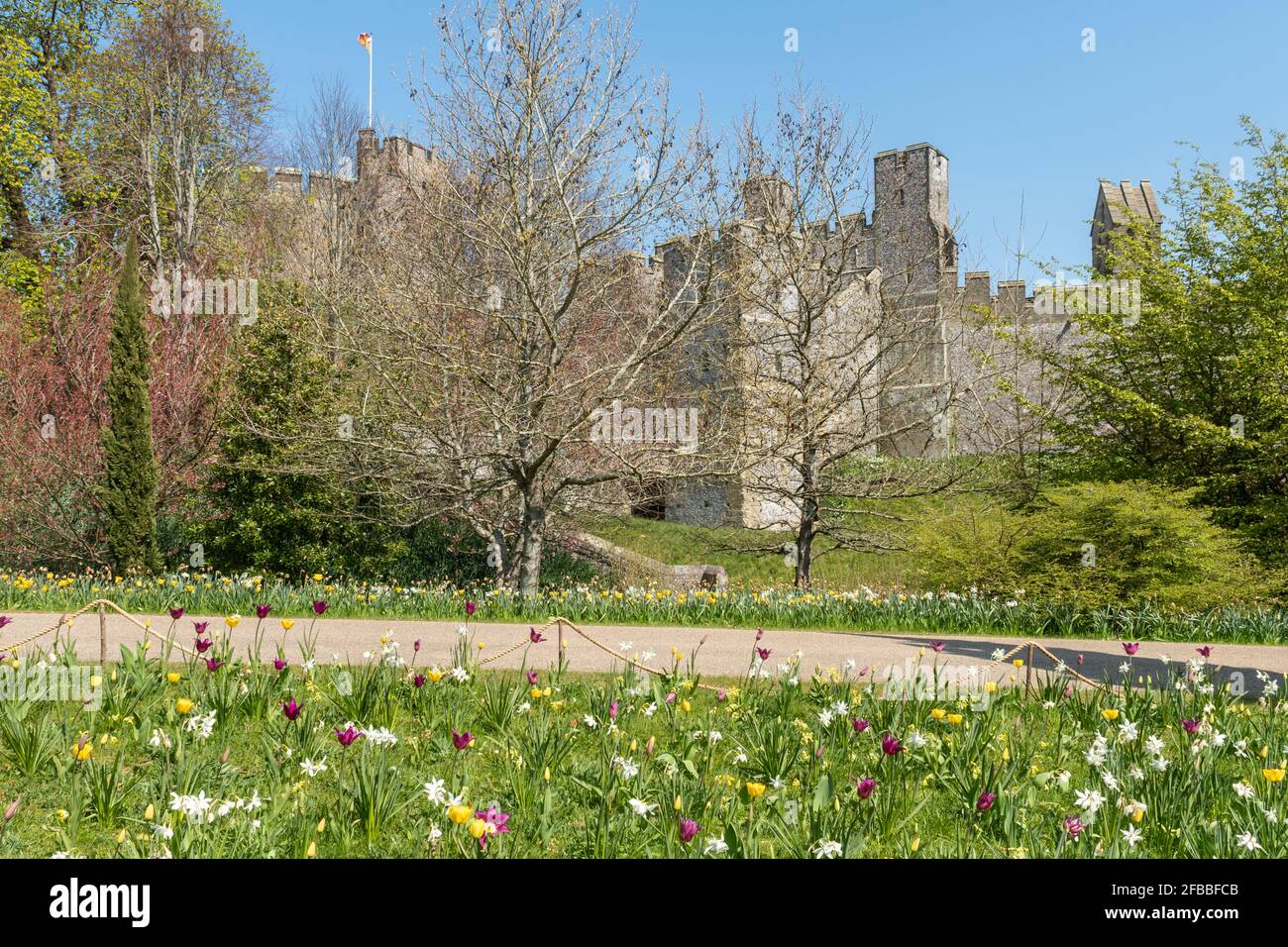 Festival de tulipe du château d'Arundel en avril 2021, West Sussex, Angleterre, Royaume-Uni Banque D'Images