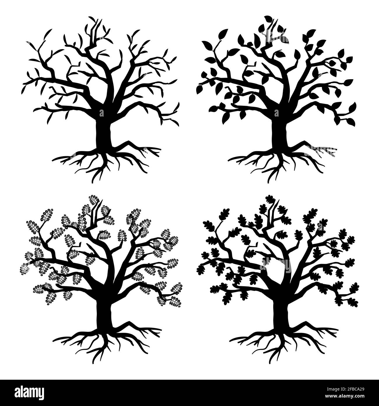 Garez de vieux arbres. Silhouettes d'arbres vectoriels avec racines et feuilles. Illustration monochrome de la flore des arbres de la collection Illustration de Vecteur