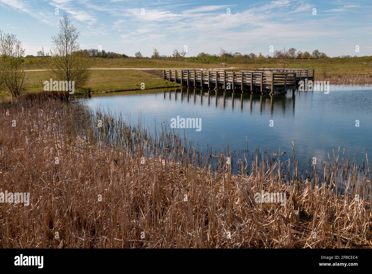 Une jetée en bois s'étend sur l'étang d'équilibrage du parc national Trumpington Meadows. Banque D'Images