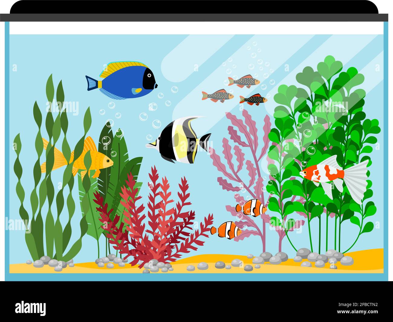 Poissons de dessin animé dans l'aquarium. Illustration vectorielle de réservoir de poissons d'eau salée ou d'eau douce. Poissons d'or d'animaux aquatiques, poissons de couleur tropicale de mer Illustration de Vecteur