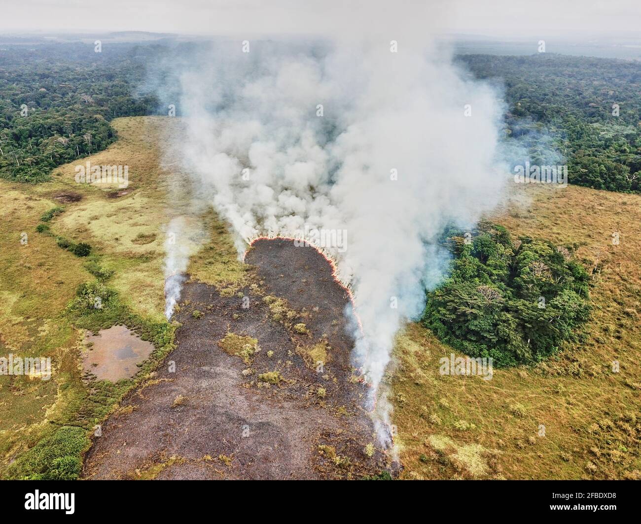 Gabon, vue aérienne du feu de forêt contrôlé Banque D'Images
