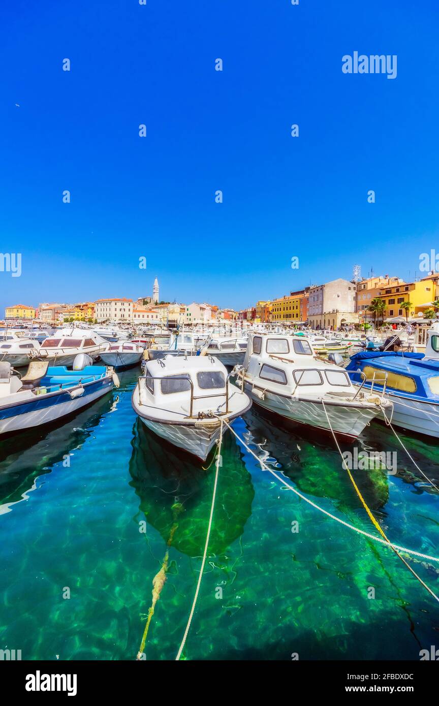 Port avec bateaux à Rovinj, Istria, Croatie Banque D'Images
