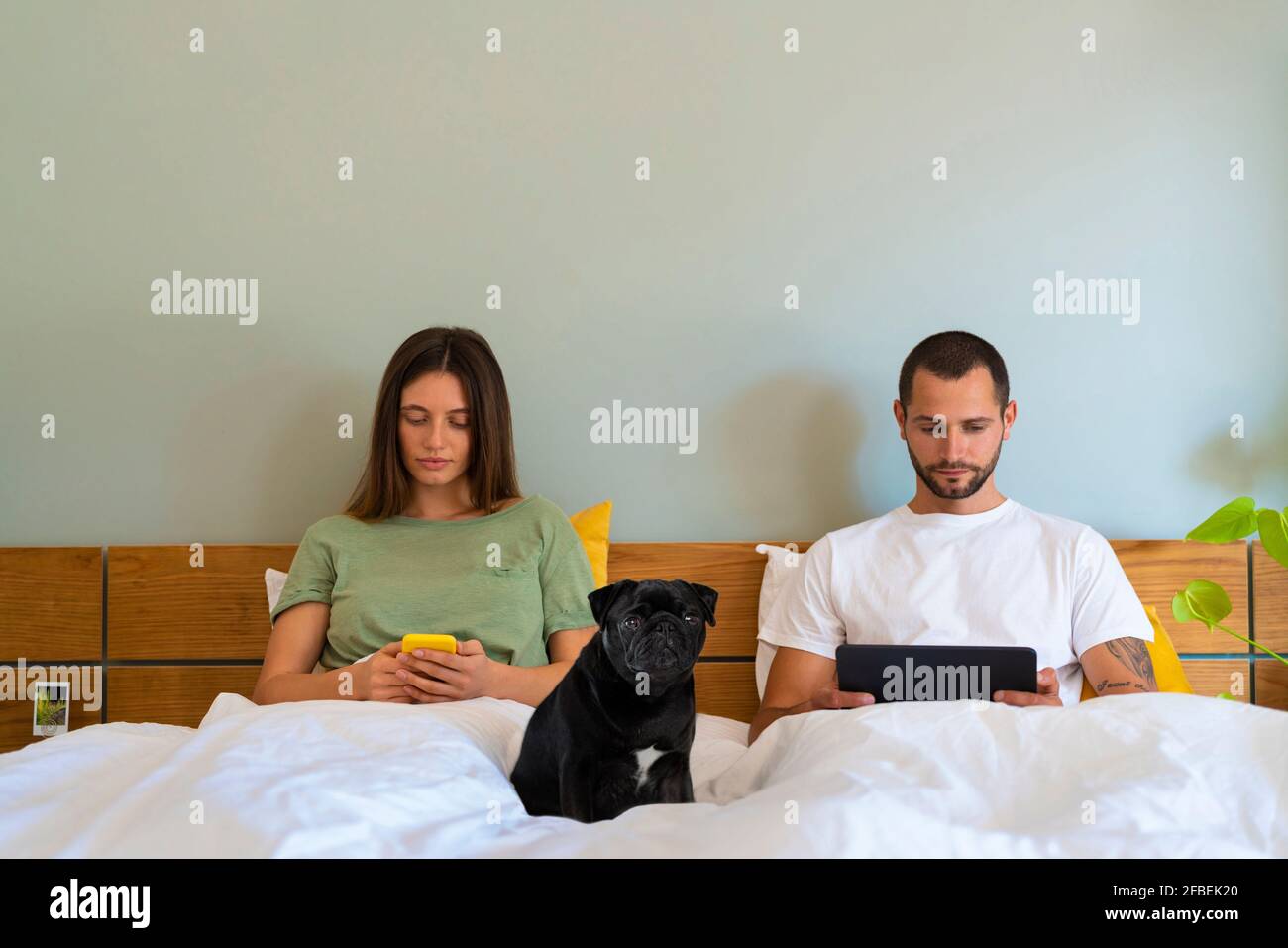 Couple utilisant un smartphone et une tablette numérique tout en étant assis Lit avec chien dans la chambre à la maison Banque D'Images