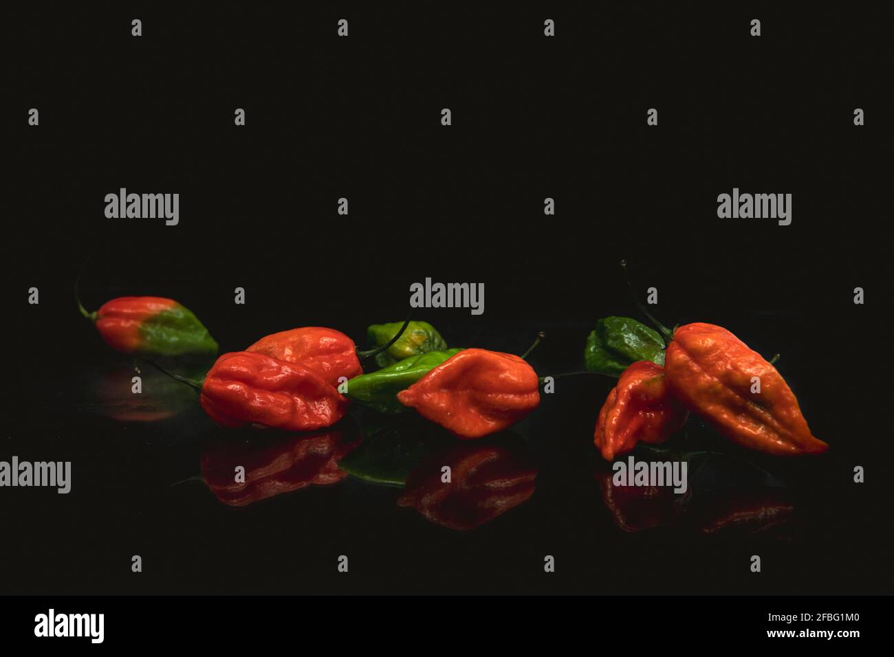 Naga Morich Banque D'Images